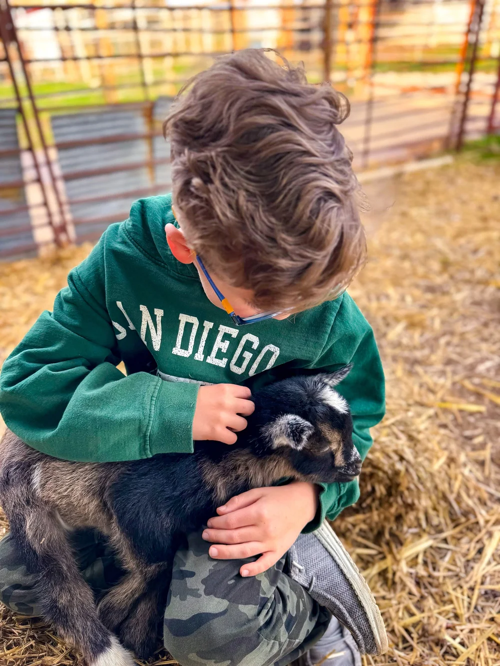 A friendly goat at the Ruby Creek petting area