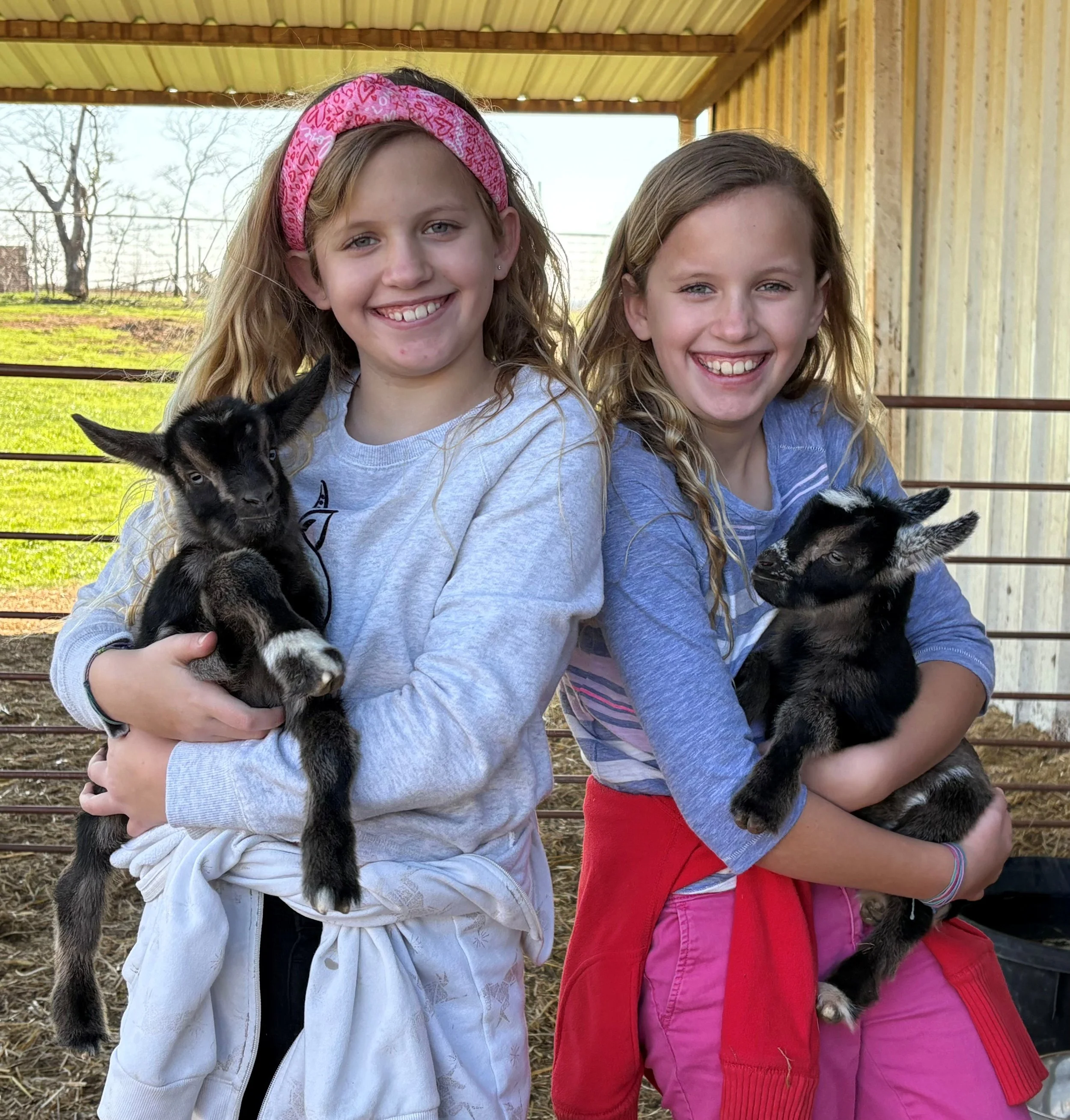 Twin Goats.jpg