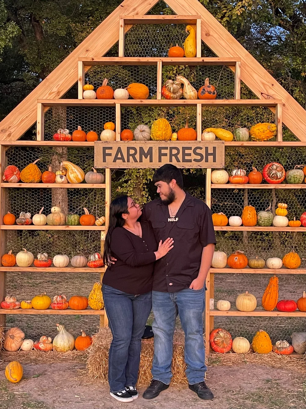 The pumpkin hut stacked with pumpkins of every size