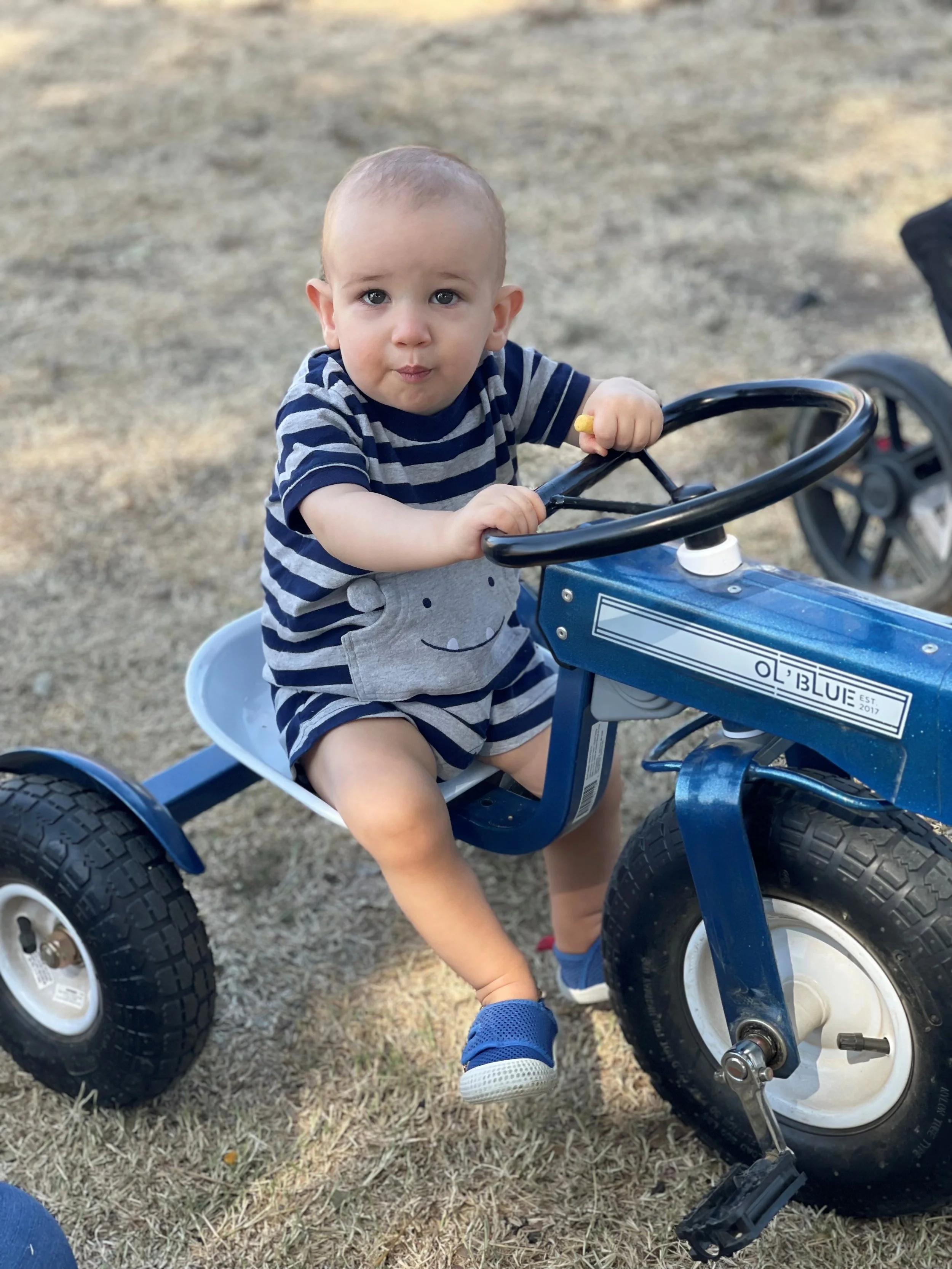 Little Tractor.jpg