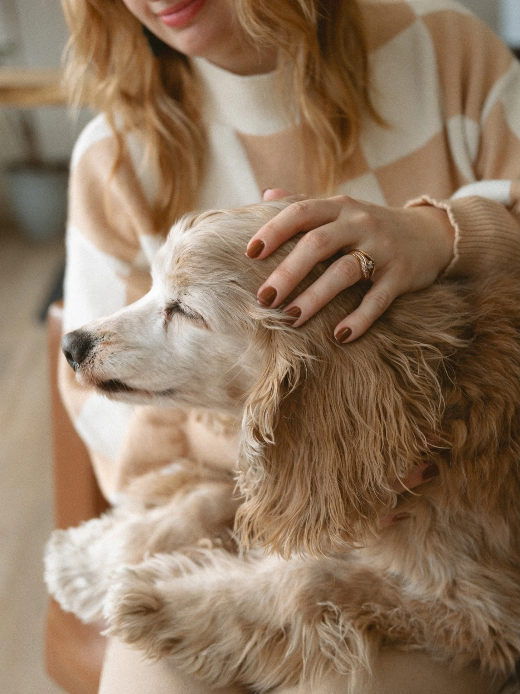 Happy Birthday to &ldquo;The Goodest Boy&rdquo; there is. 💙🐾🐶🥺

Swipe all the way through to see 6 year old Rory on his &ldquo;gotcha day.&rdquo;

At the young age of 15 he enjoys pets, naps, pb treats, ignoring Fern, and barking at squirrels and