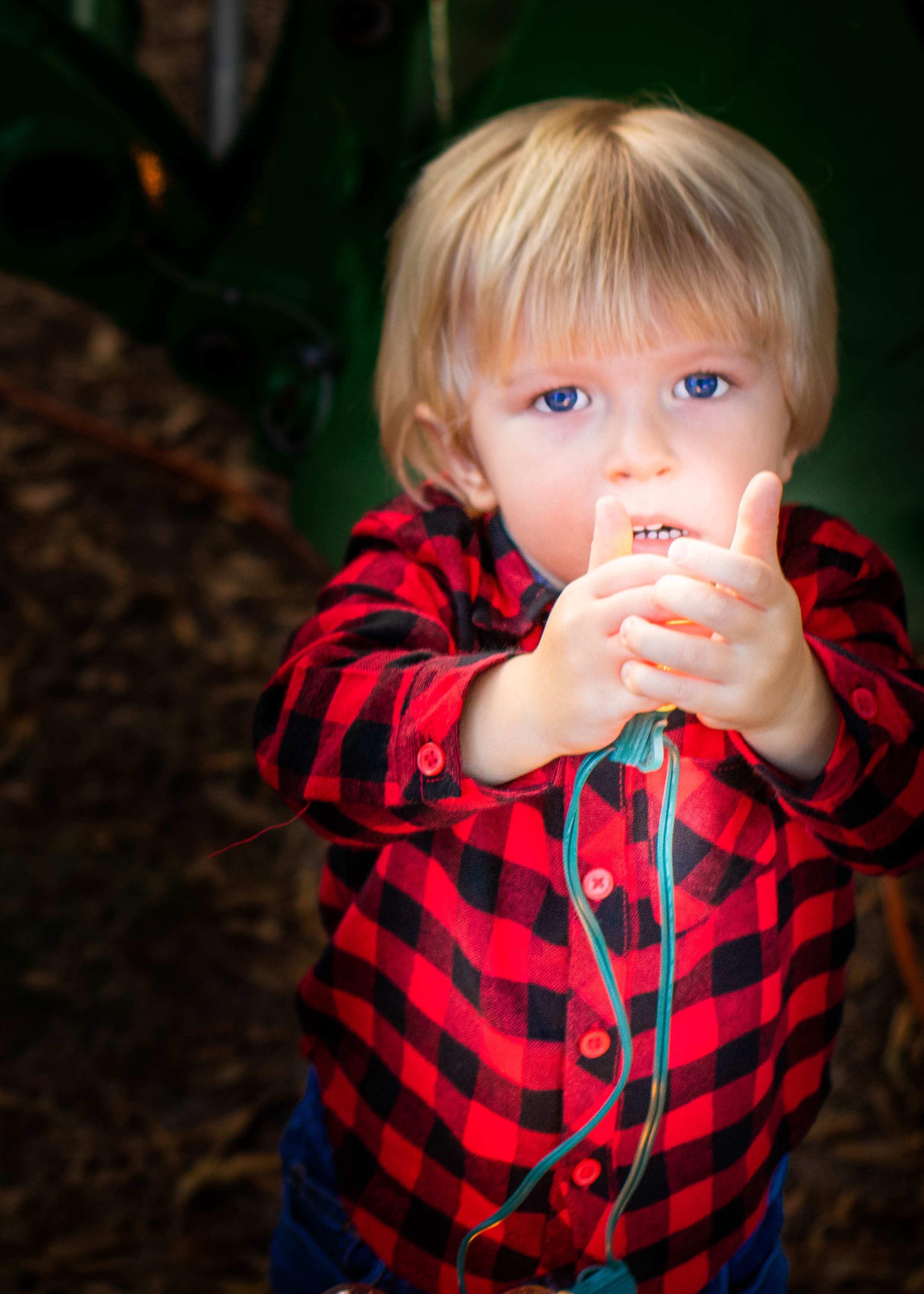 Elliana - Tobais-2.jpg