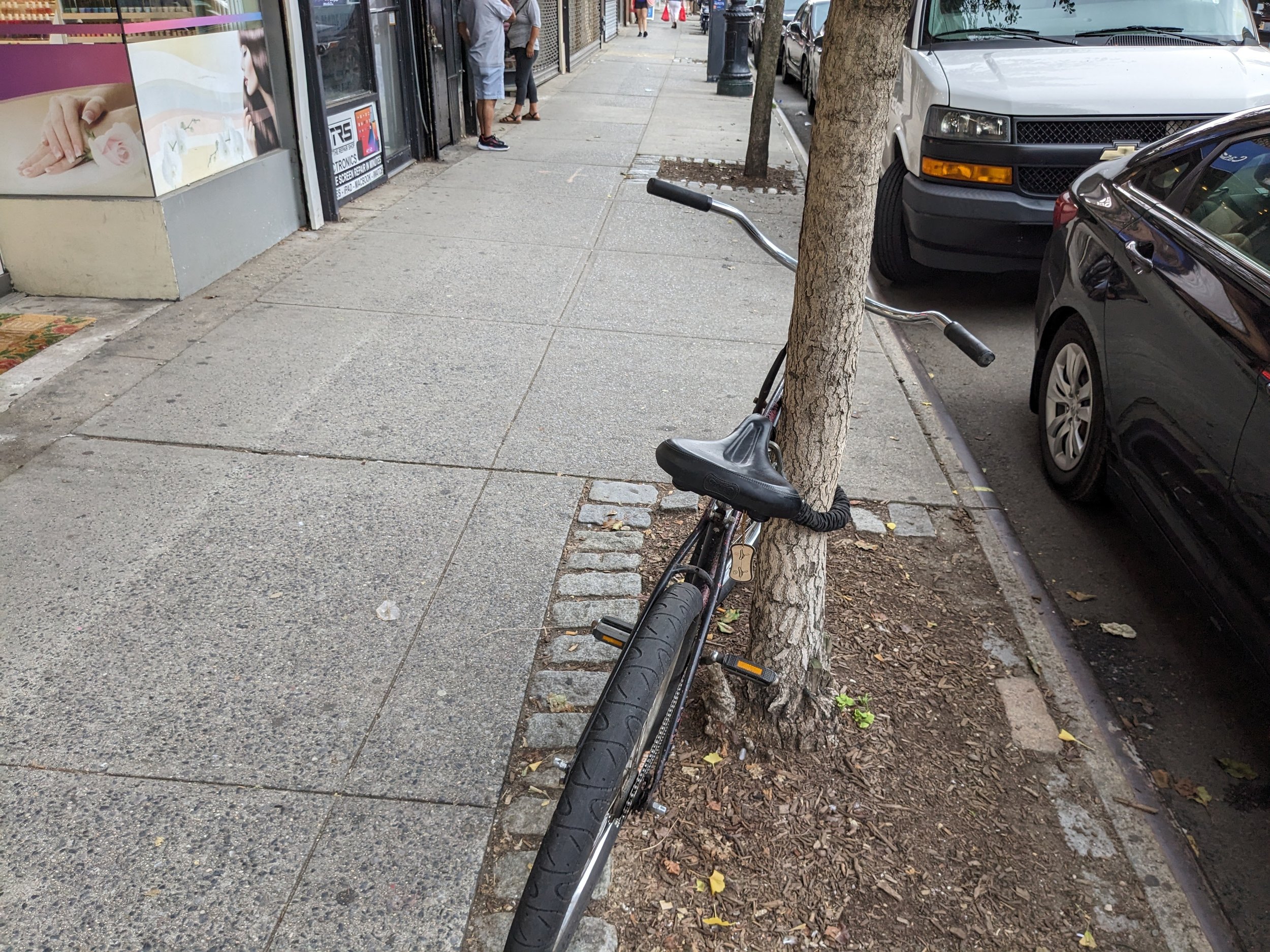 A bike attached to a tree. This is illegal and can hurt the tree.