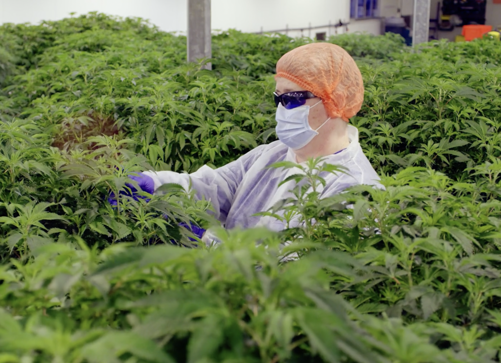 7acres - know the grow