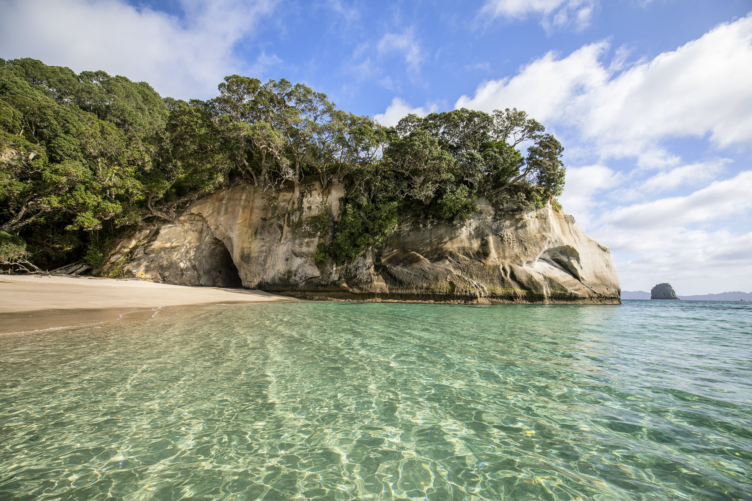 233530-cathedral-cove-coromandel.jpg