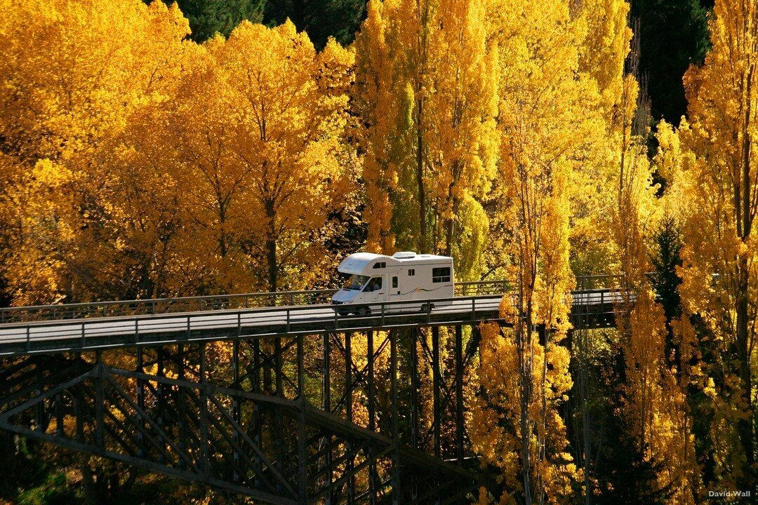 Stunning Autumn (Fall) colour in New Zealand's South Island. A visit in this season guarantees crisp cool mornings and evenings and beautiful clear days.

Whether you are exploring or relaxing, we would love to help you plan your perfect Fall vacatio