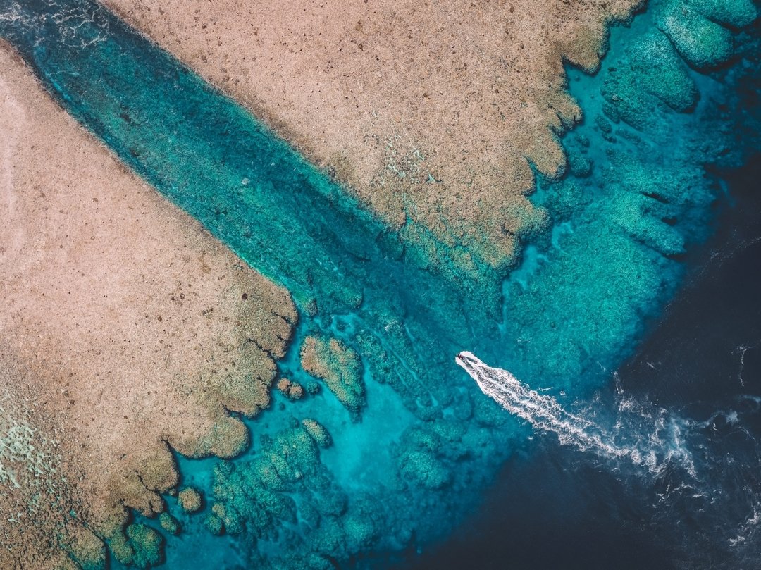 Remote, protected from bleaching and teeming with life, Rowley Shoals is one of the world&rsquo;s most incredible snorkelling spots.

Cruising with True North Australia, a luxury vessel with a helicopter and six adventure boats at their disposal, gue