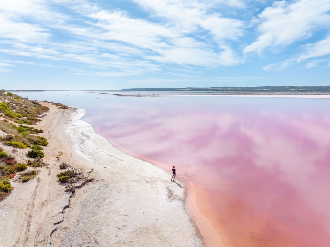Hutt Lagoon, Yallabatharra on Western Australia's Coral Coast boasts a pink hue created by the presence of carotenoid-producing algae, Dunaliella salina, which is a source of beta-carotene; a food-colouring agent; and a source of Vitamin A.

The lake