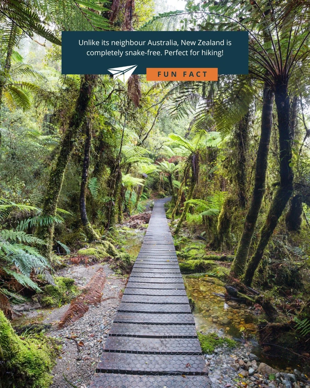 Hiking in New Zealand is a truly magical experience. There’s something grounding about walking through New Zealand’s landscapes — the hush of ancient forests, the sweep of alpine valleys, the way light shifts across the peaks.
Ever