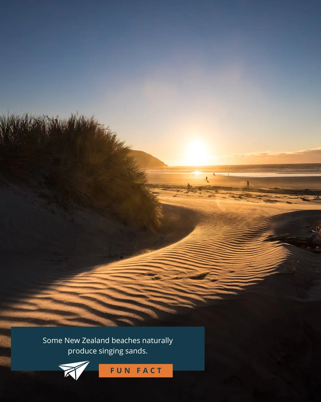 Singing sand, also called whistling sand, barking sand, booming sand or singing dune, is sand that produces sound. The sound emission may be caused by wind passing over dunes or by walking on the sand.

Certain conditions have to come together to cre