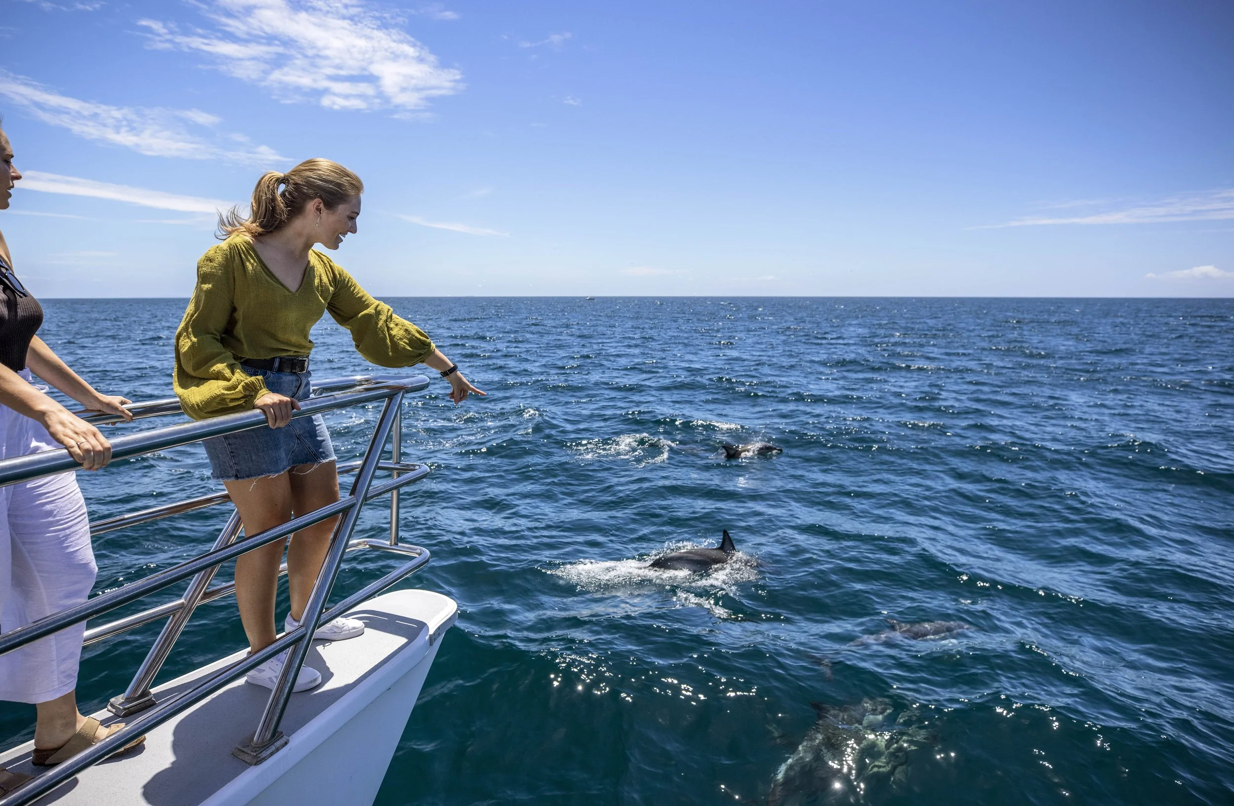 234100-hauraki-gulf-auckland-min.jpg