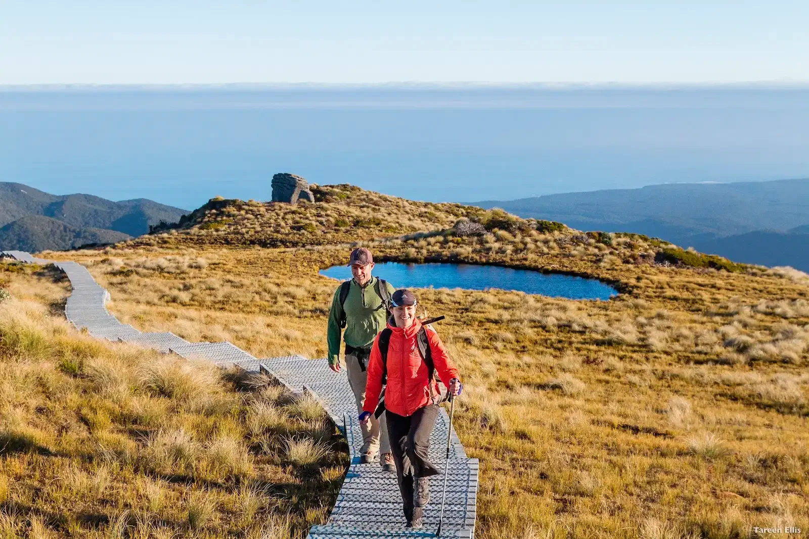 Two people hiking along a wooden boardwalk on the Hump Ridge Track in Southland.