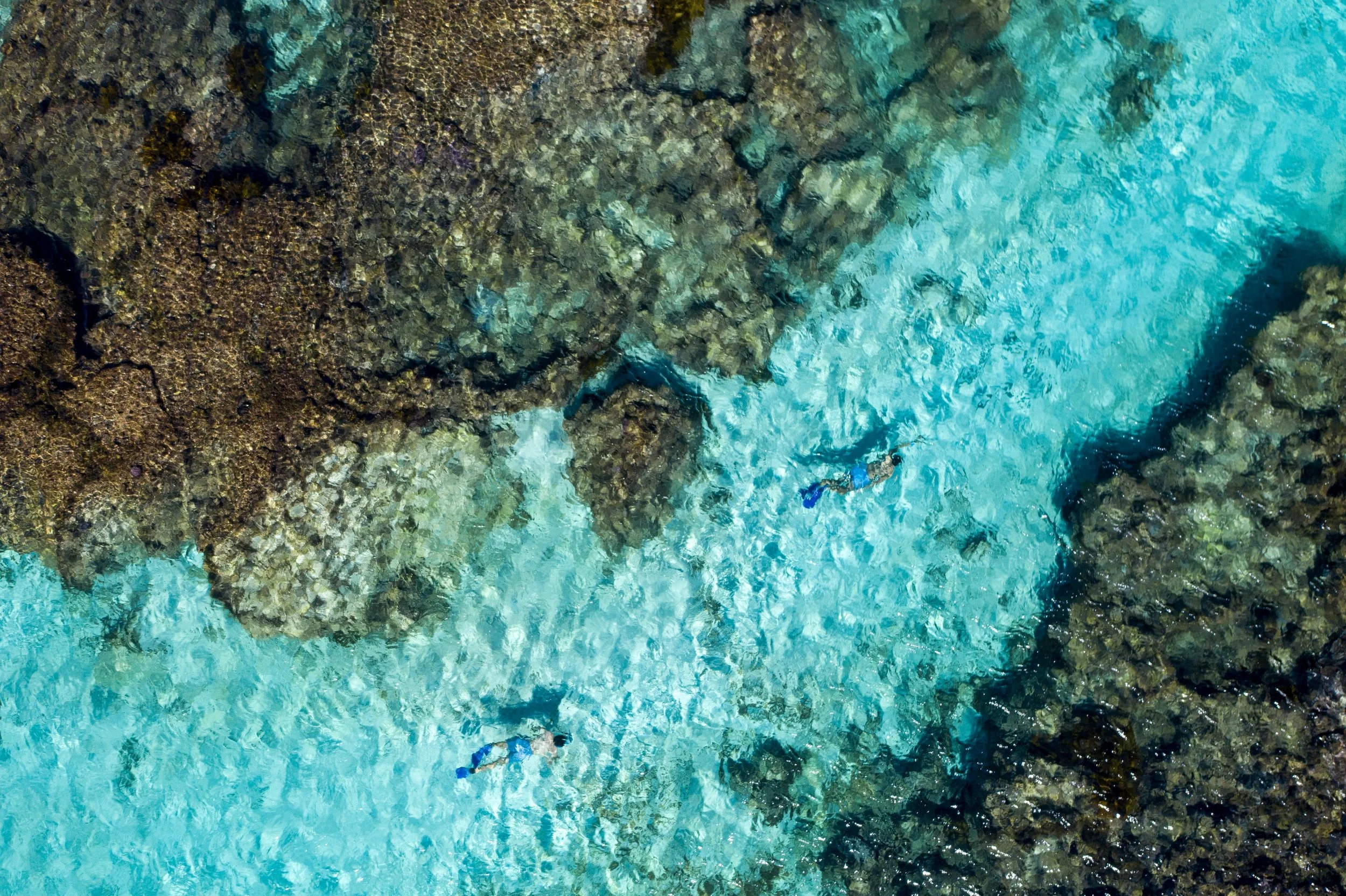 Two people snorkeling in the clear turquoise waters around Rottnest Island near Perth, Australia.