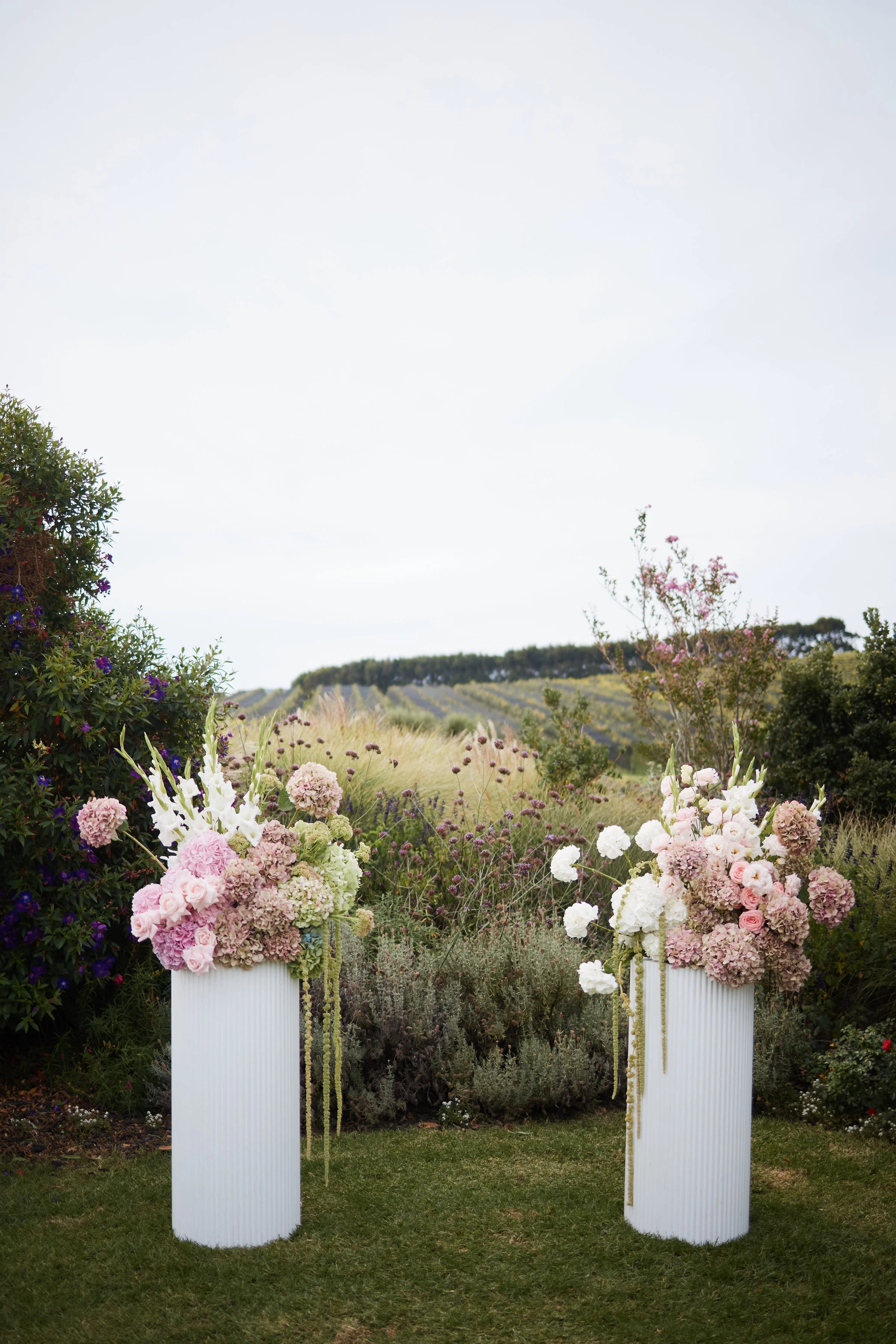 JONNYSCOTTPHOTO228.jpg