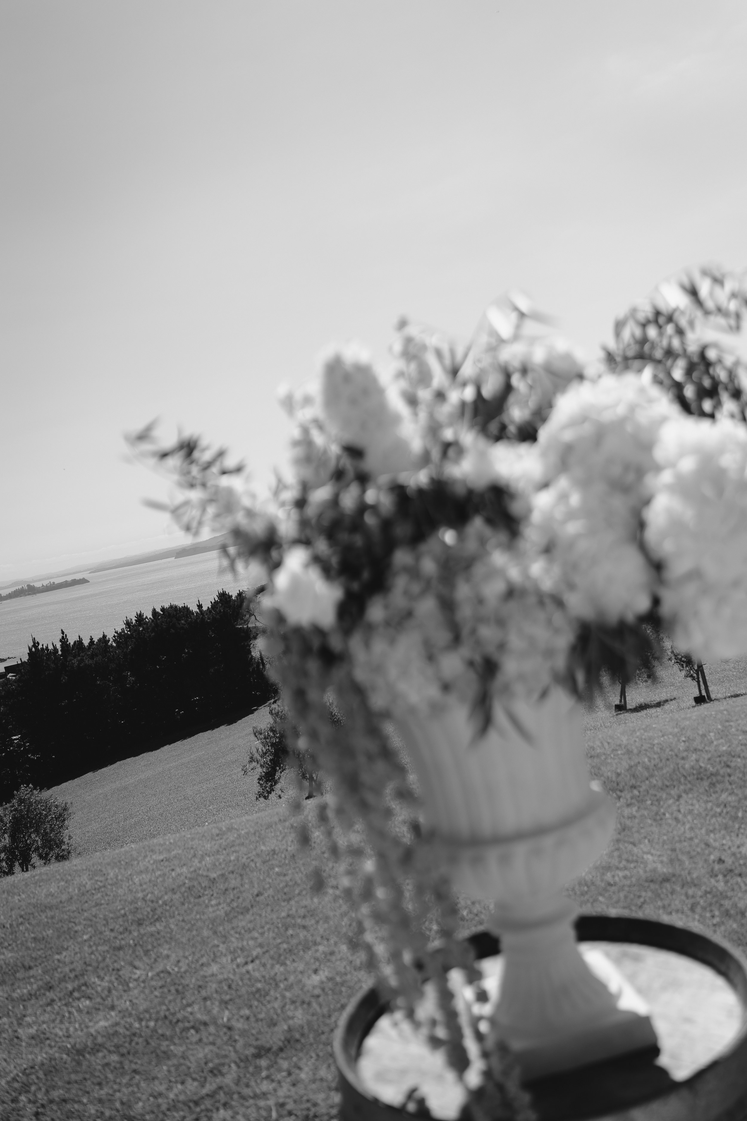 C&RWeddingB&W-309.jpg