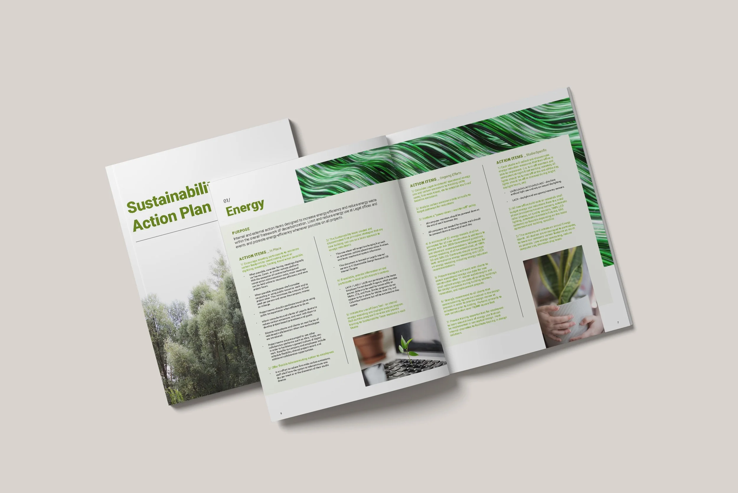 Sustainability Action Plan