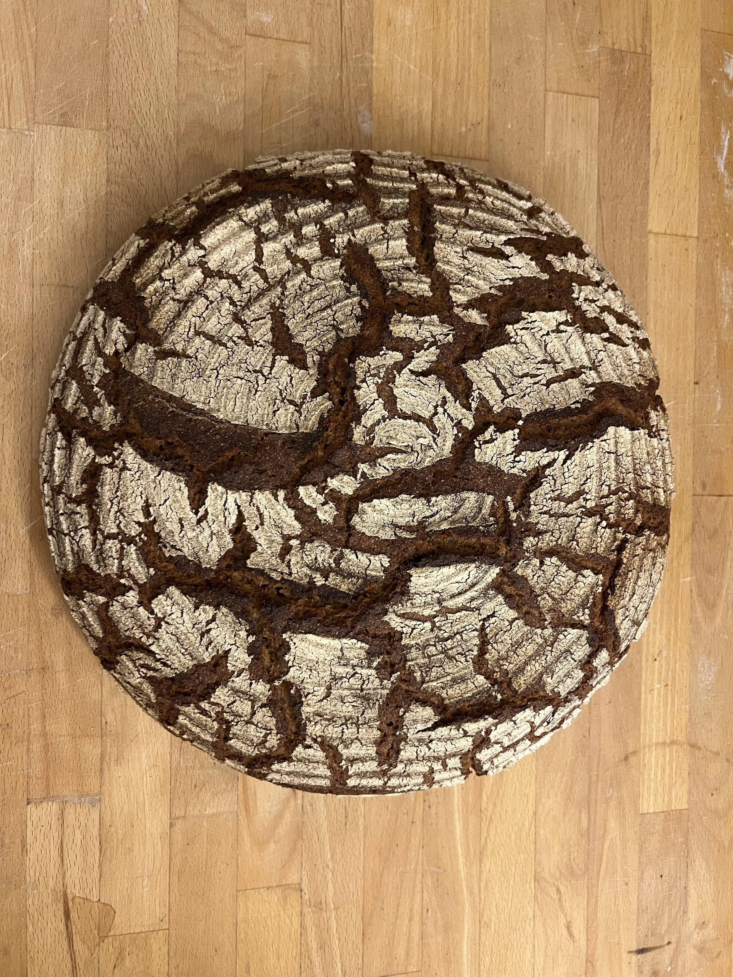 Gutes Brot Bielefeld-Zorahs Sauerteig Manufaktur