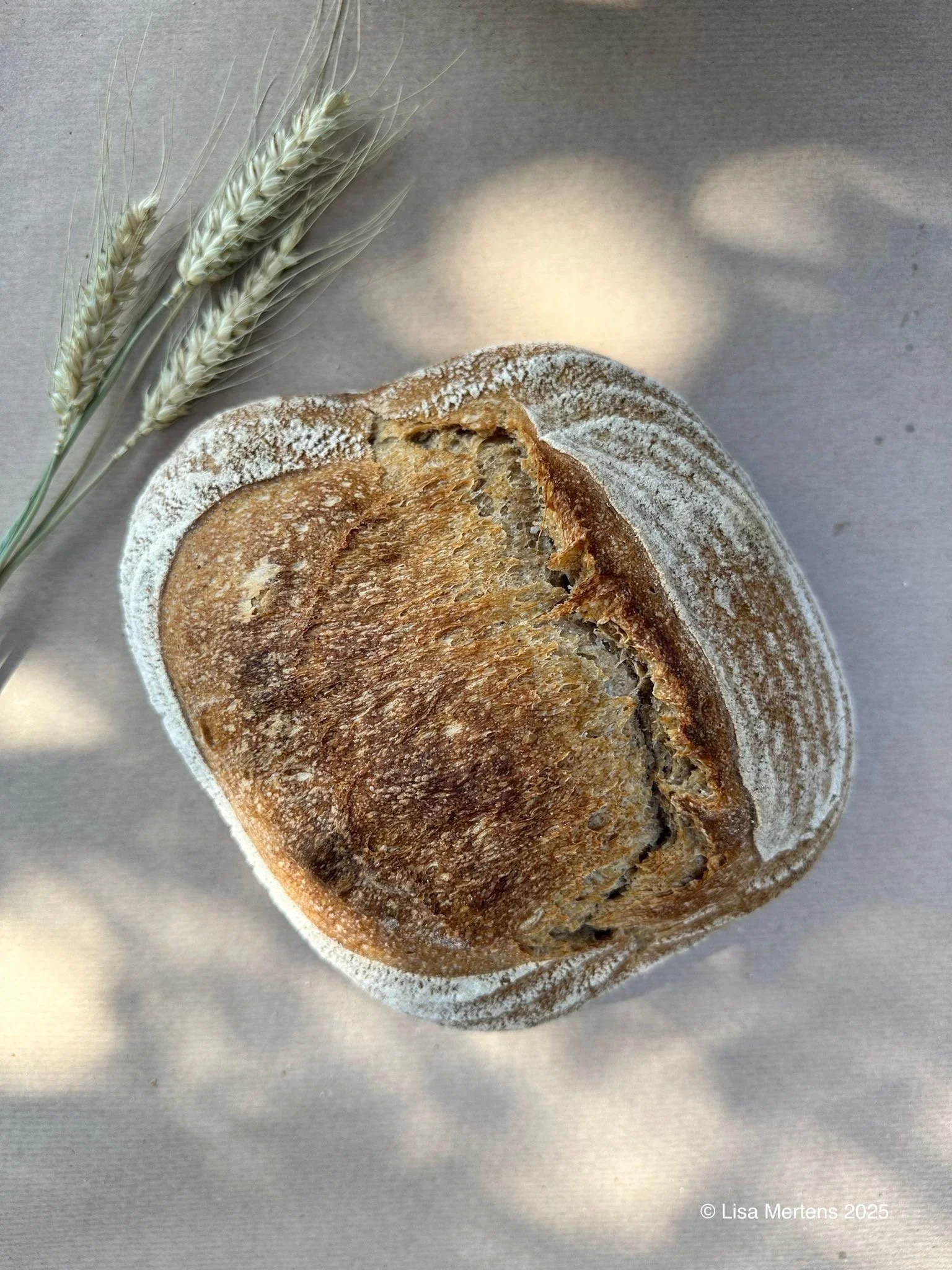 Zorahs Bio Hausbrot