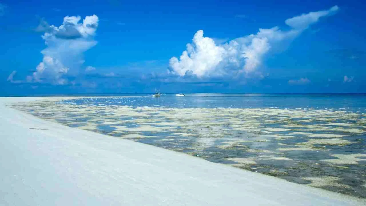 Tubbataha Reefs, palawan