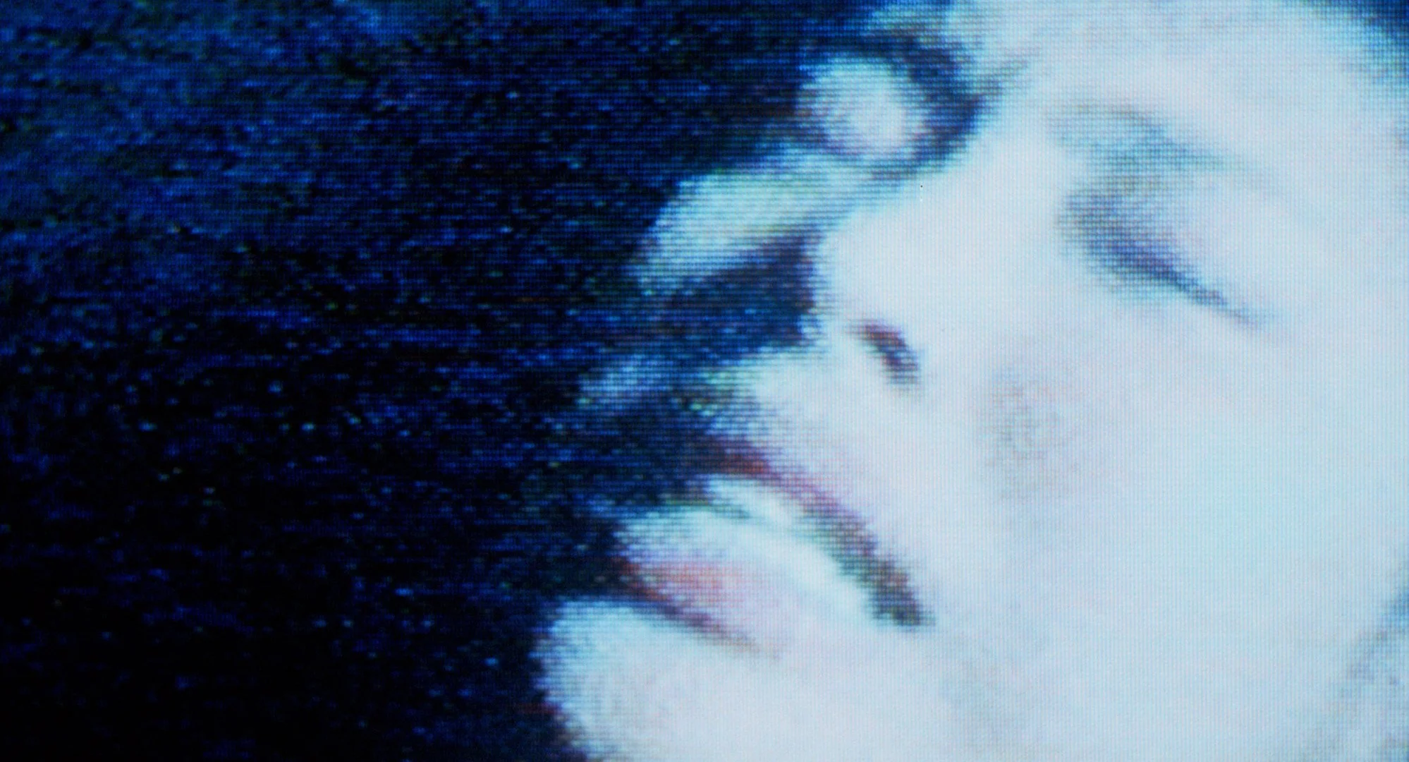 Re-Wind (Celluloid Nightmares)