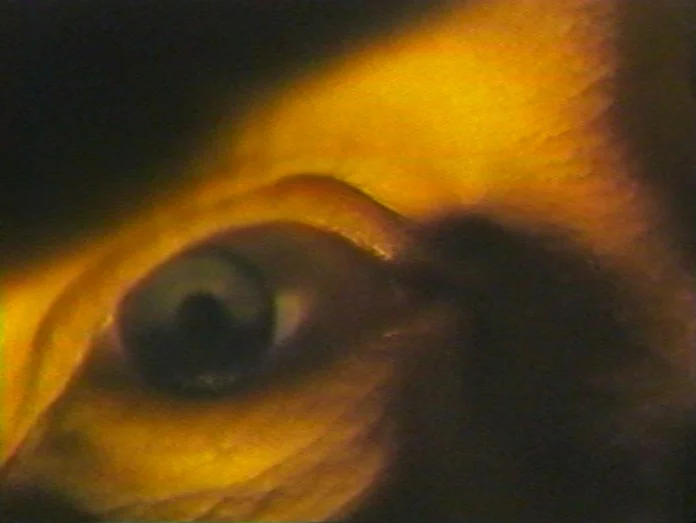 Highway Hypnosis | MIDNIGHT MASS