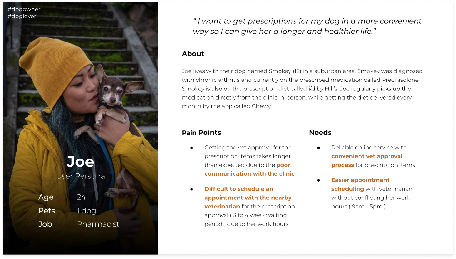 User persona depicting pain points and user needs