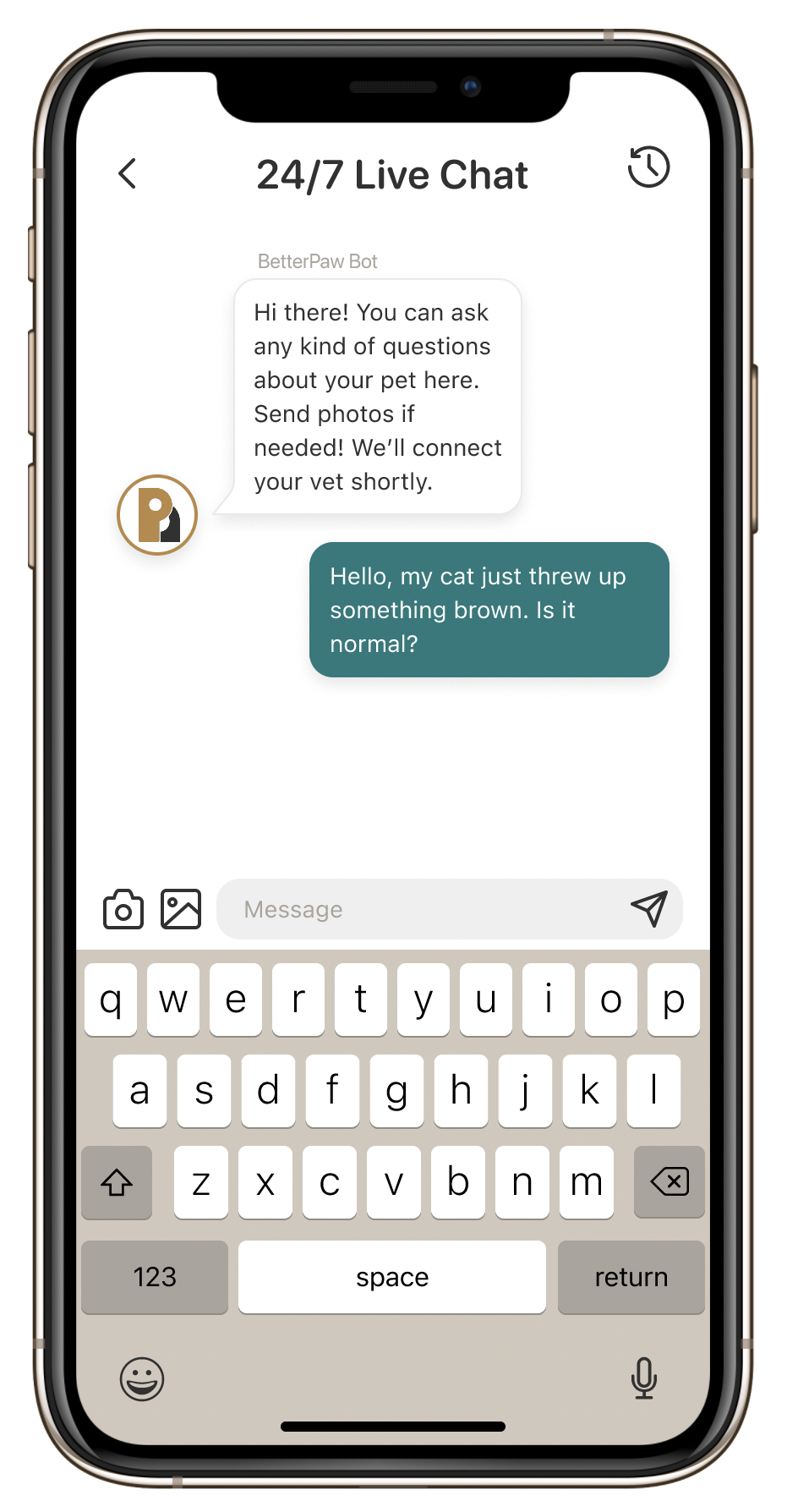 Mobile screen for 24/7 live chat feature