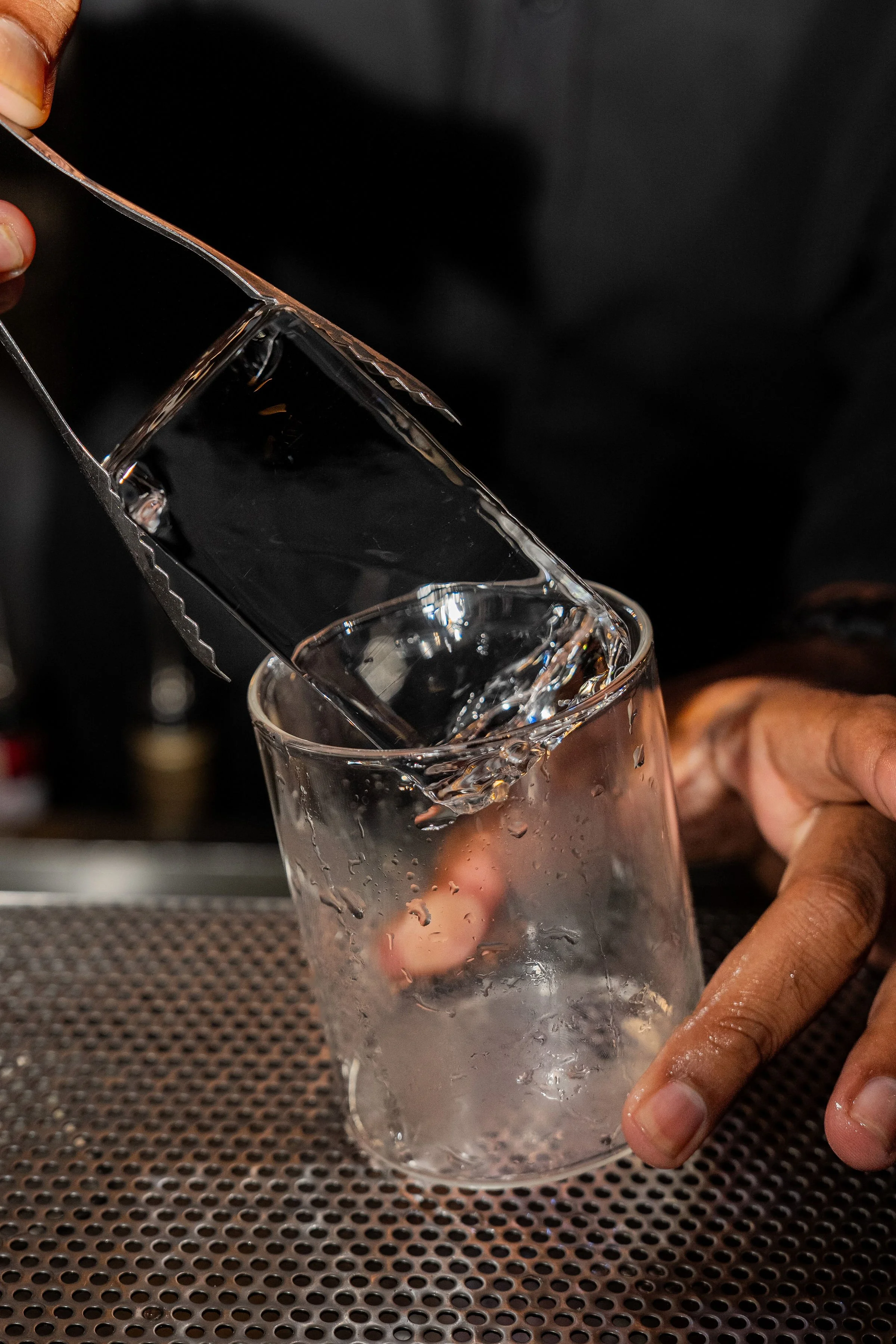 2025.12.16_Blue_tick_ice-136 (1).jpg