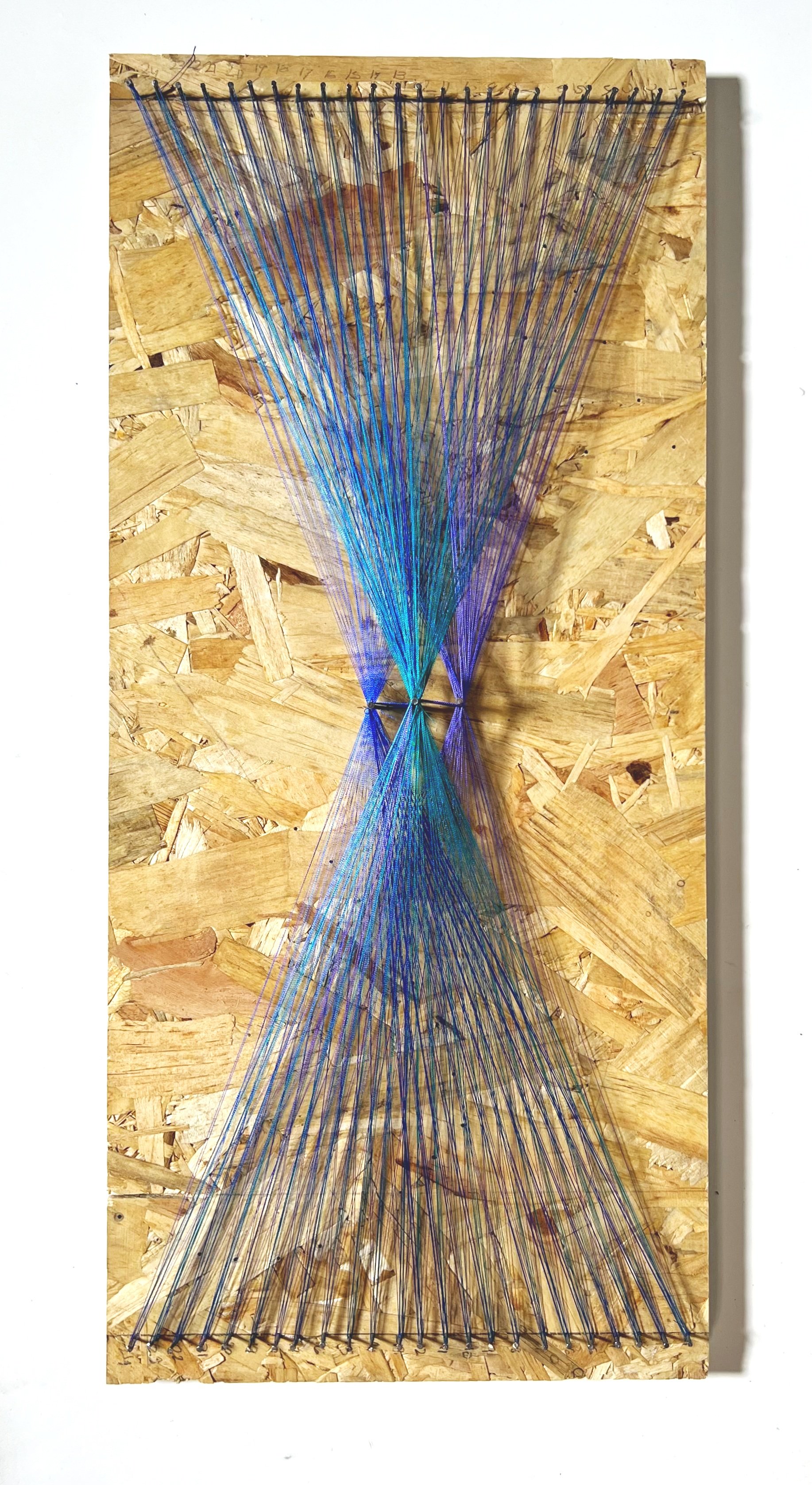 Rayon Embroidery Thread & Nails on Wood Board
20x 9 in.
2022