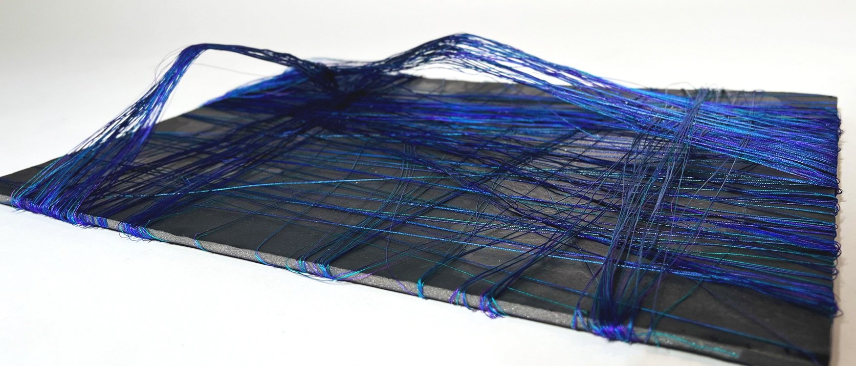 Rayon Embroidery Thread & Hairspray on Black Foam Board 16.5 x 11.8 in.
2022