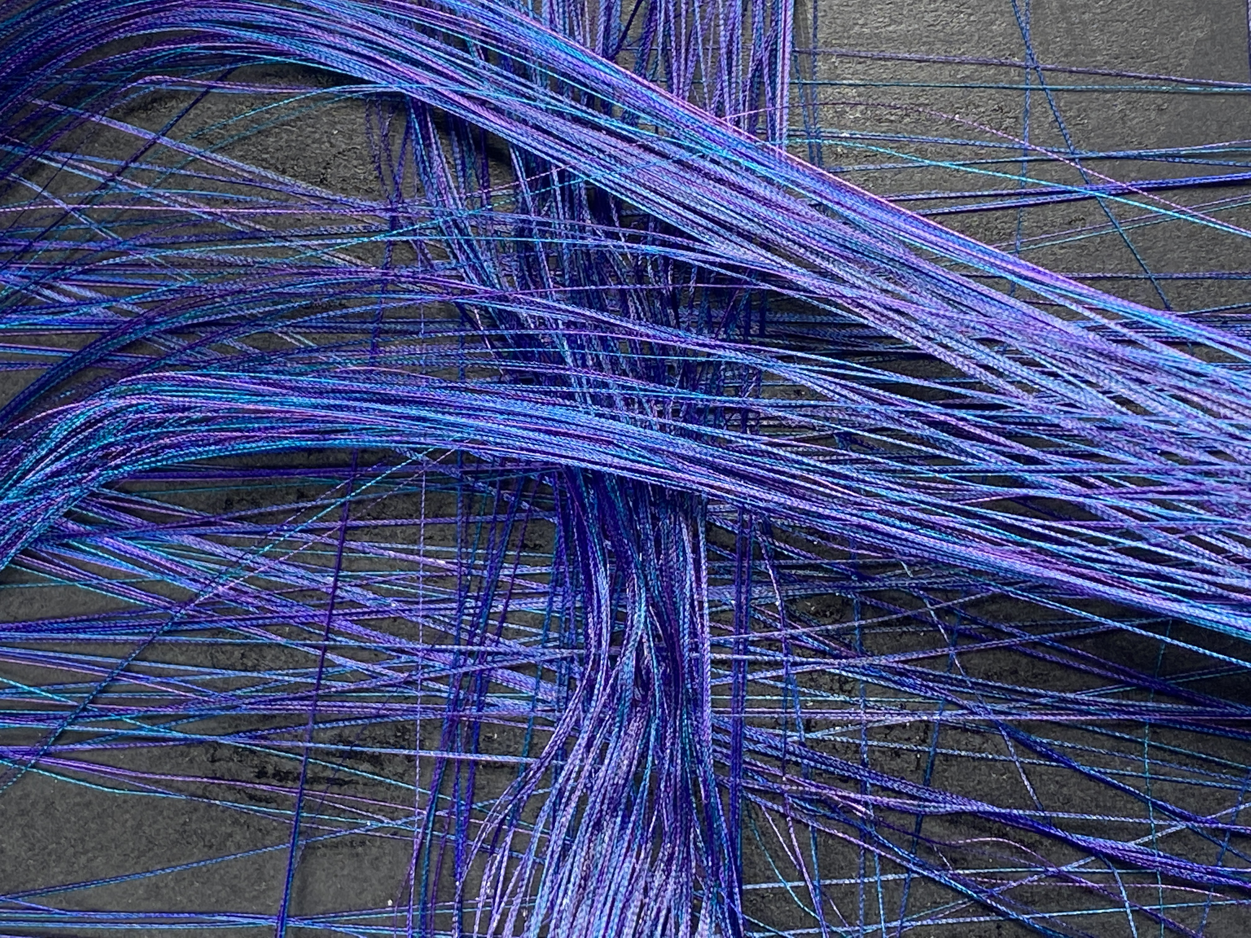 Rayon Embroidery Thread & Hairspray on Black Foam Board 16.5 x 11.8 in.
2022