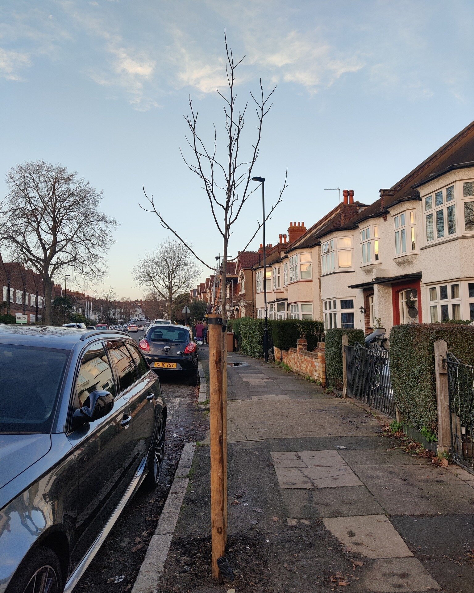 Please water newly planted street trees! 💦🌳👍

Our autumn/winter tree planting is in full swing! ⛏😃

Please can tree guardians ensure they water newly planted street trees with 20L of water as soon as possible to help them settle into their new ho