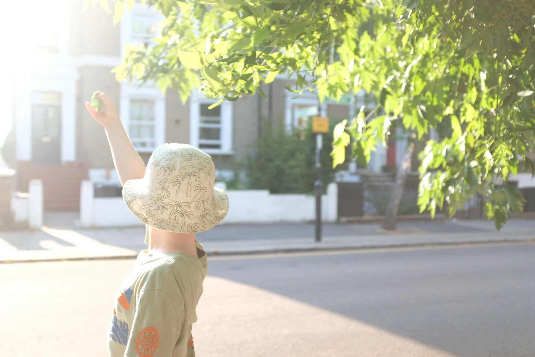 Boy under street tree