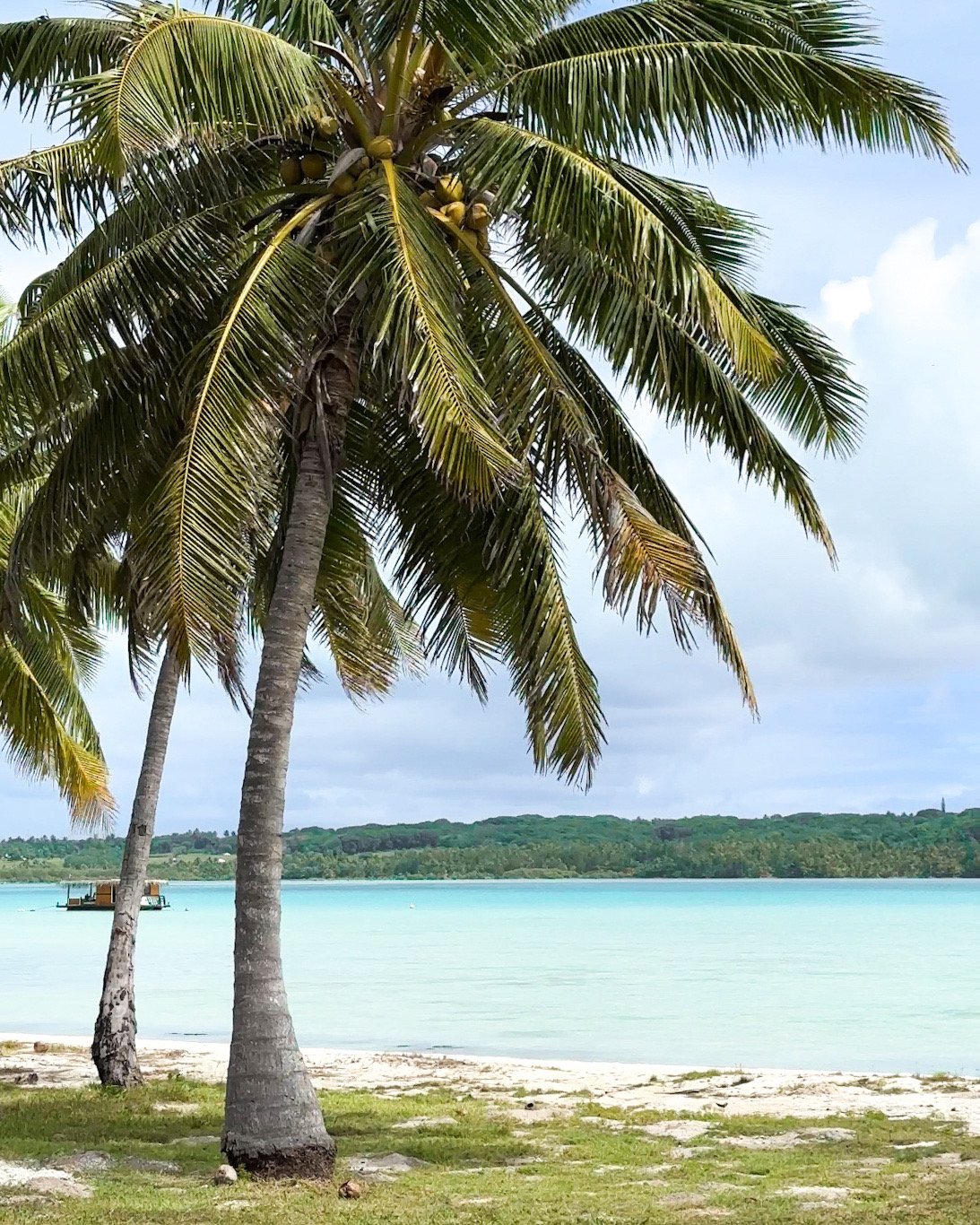 Aitutaki Tai Roto Bay Beach Villas 28.JPEG