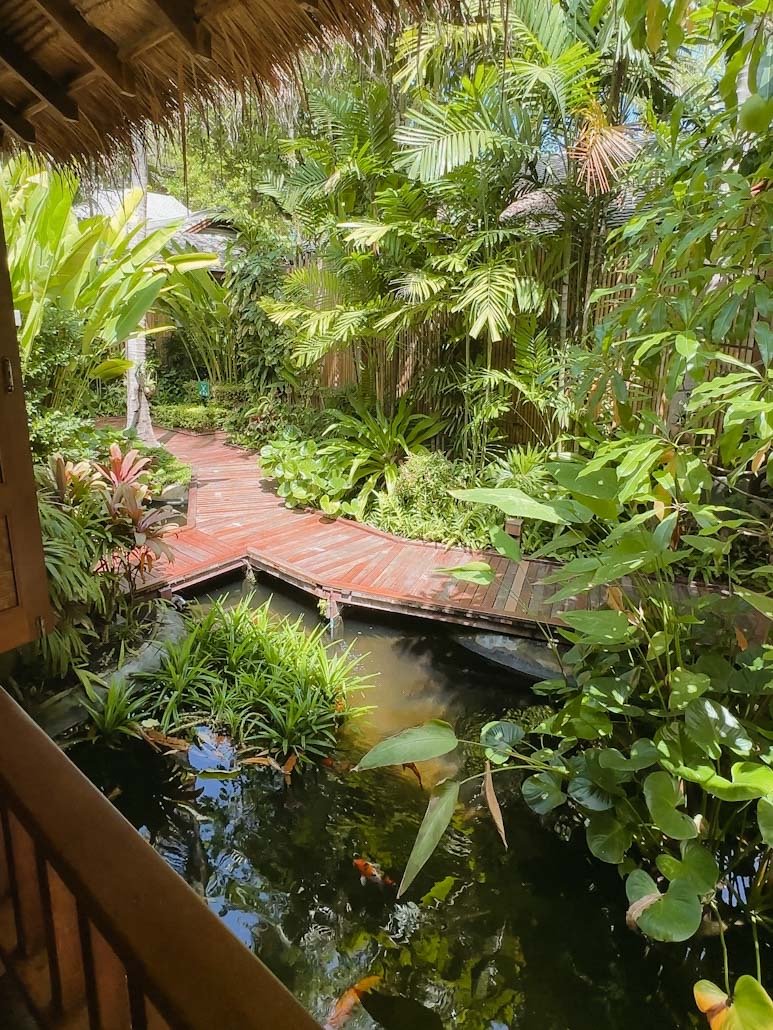 Anantara Rasananda Koi Pond.JPEG