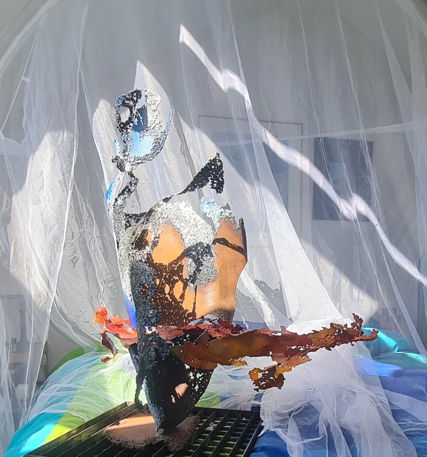 feu&glace transitoire.jpg