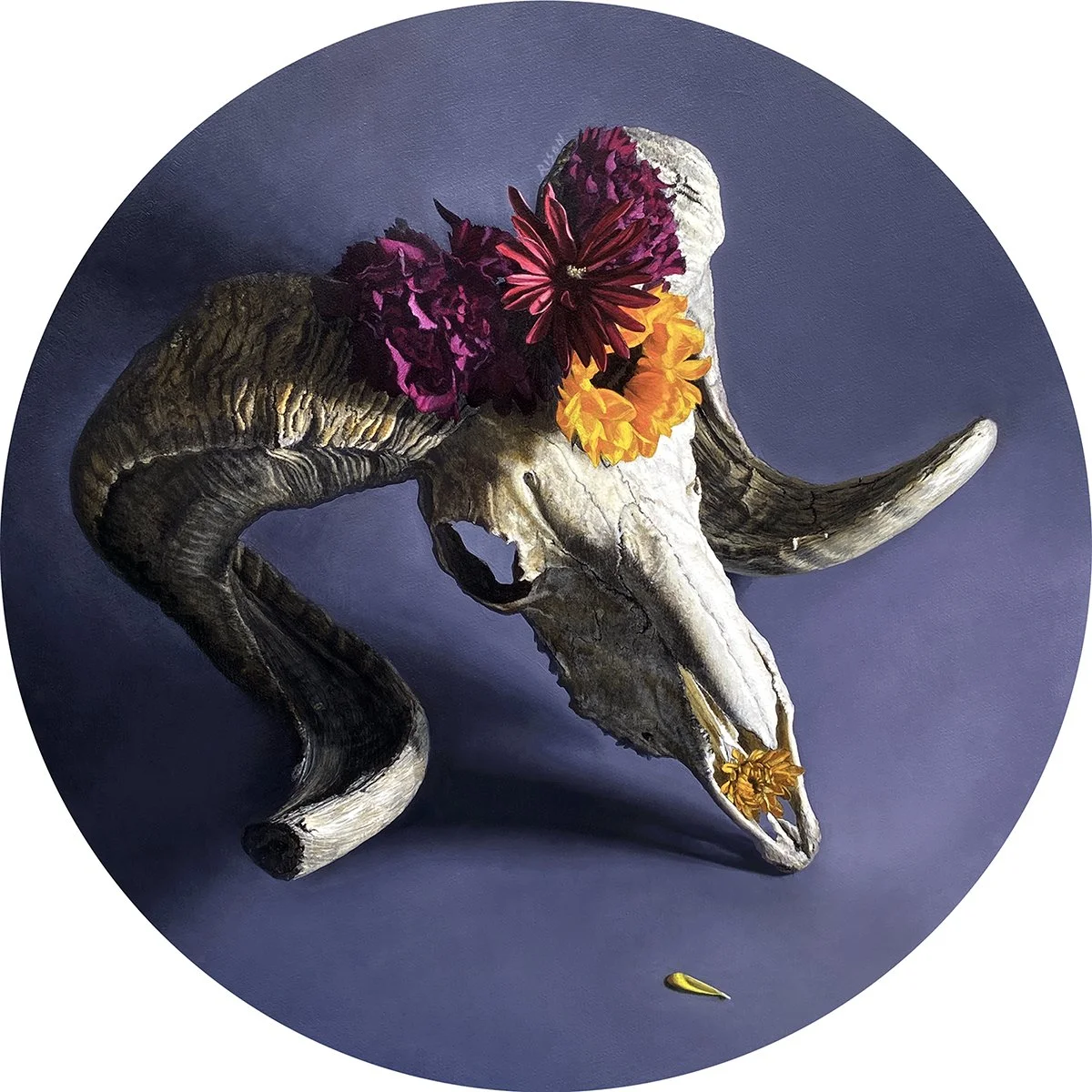 Transcendance - Heather Rison MASTER Web Res.jpg