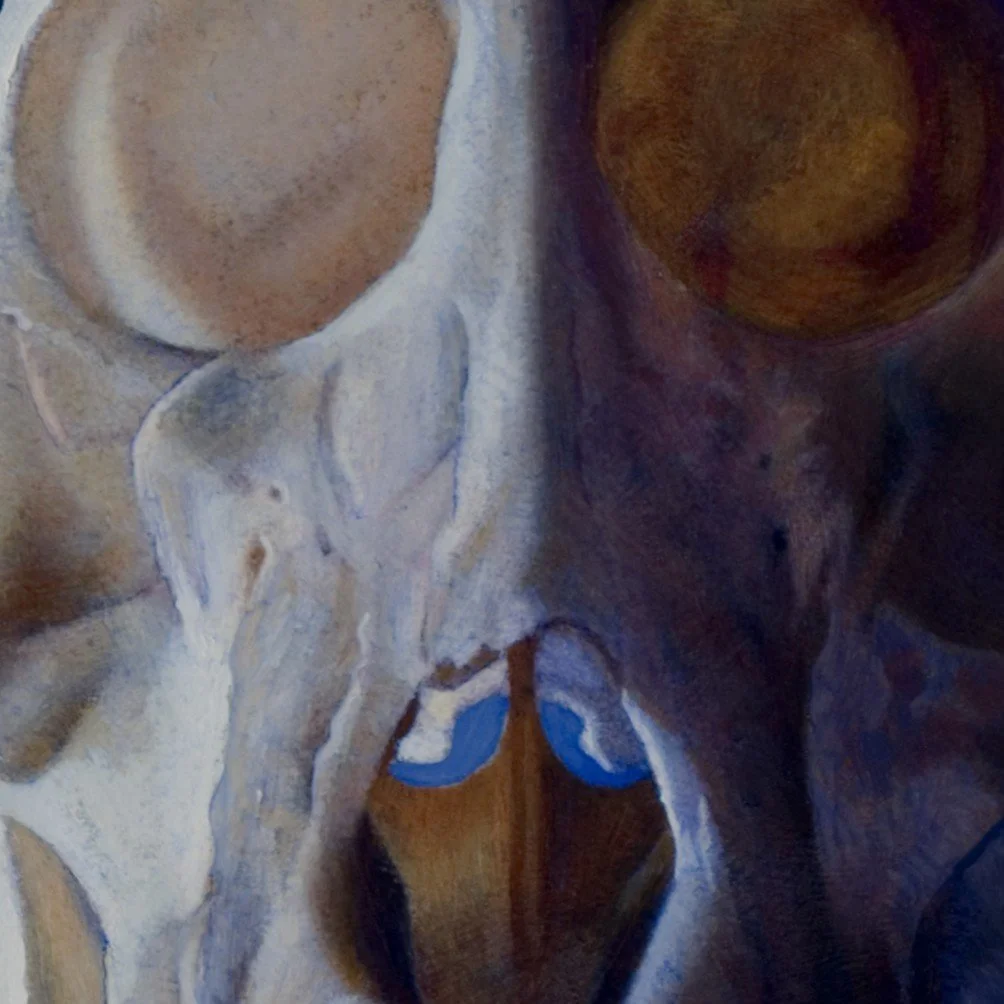 I choose you- skull.jpg