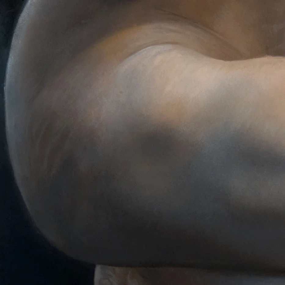 Out of the Darkness Comes the Light-skin.jpg