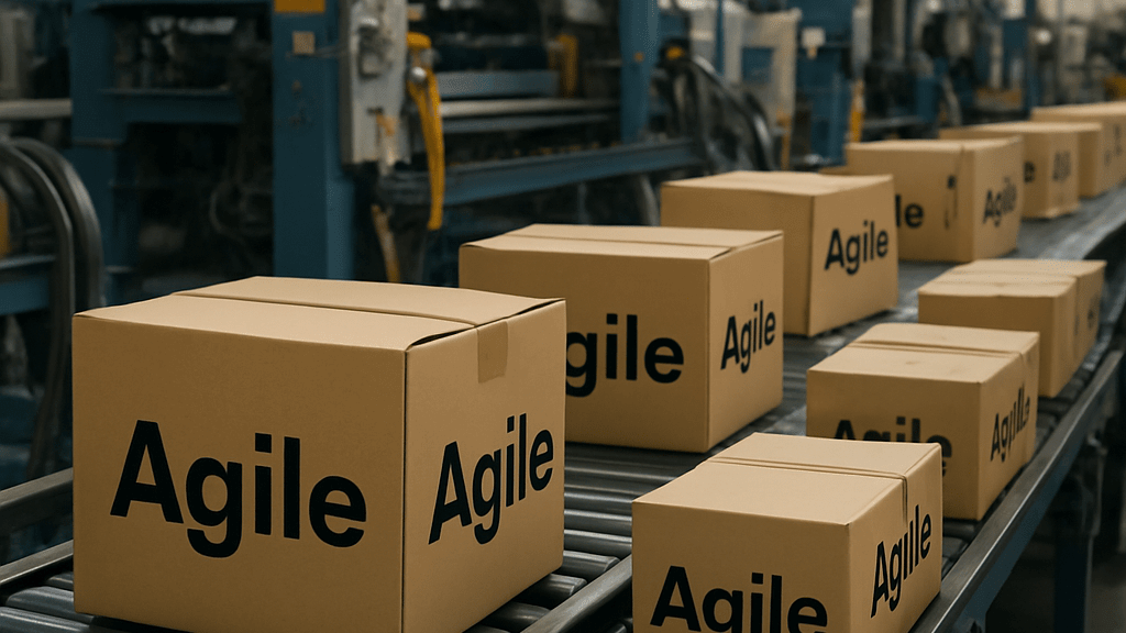 Anti-Agile: The Agile Industrial Complex