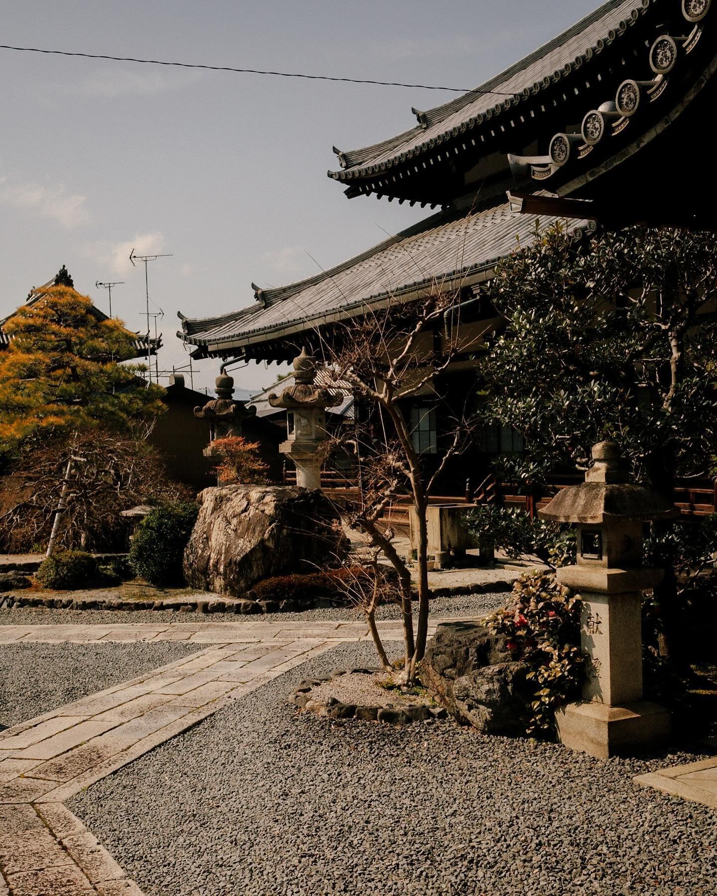 Take me back to Kyoto ~ these are from March 2020, when my trip got cut short. Have been thinking of going back ever since.

~

#japan #visitkyoto #kyoto #travelphotography