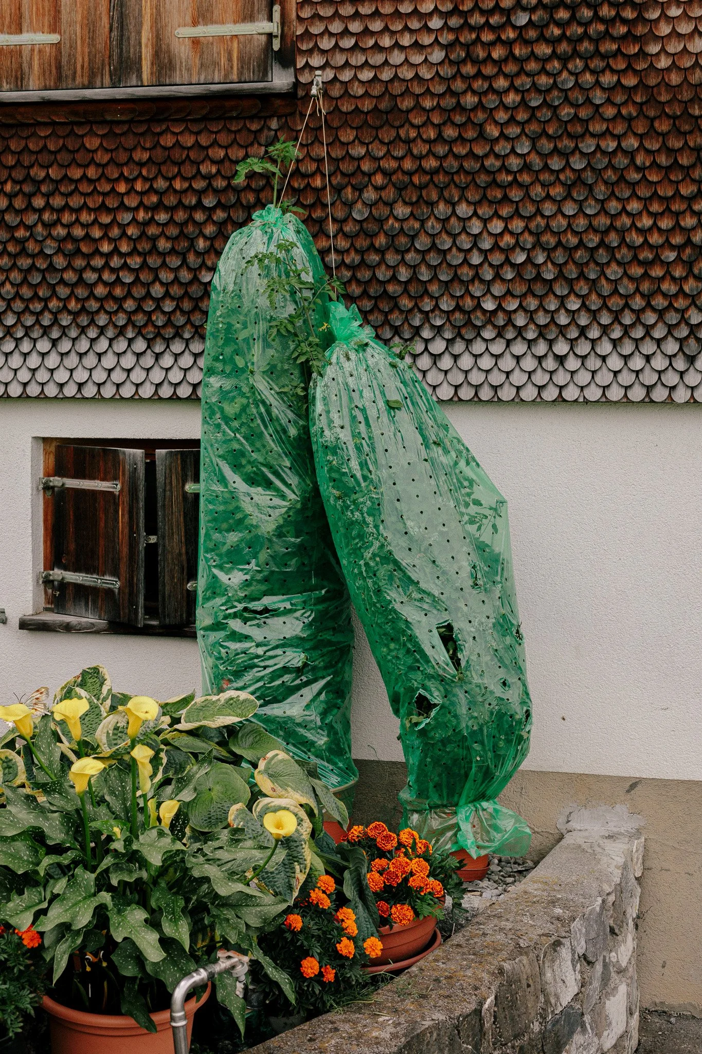 Cottage gardens of Bregenzerwald