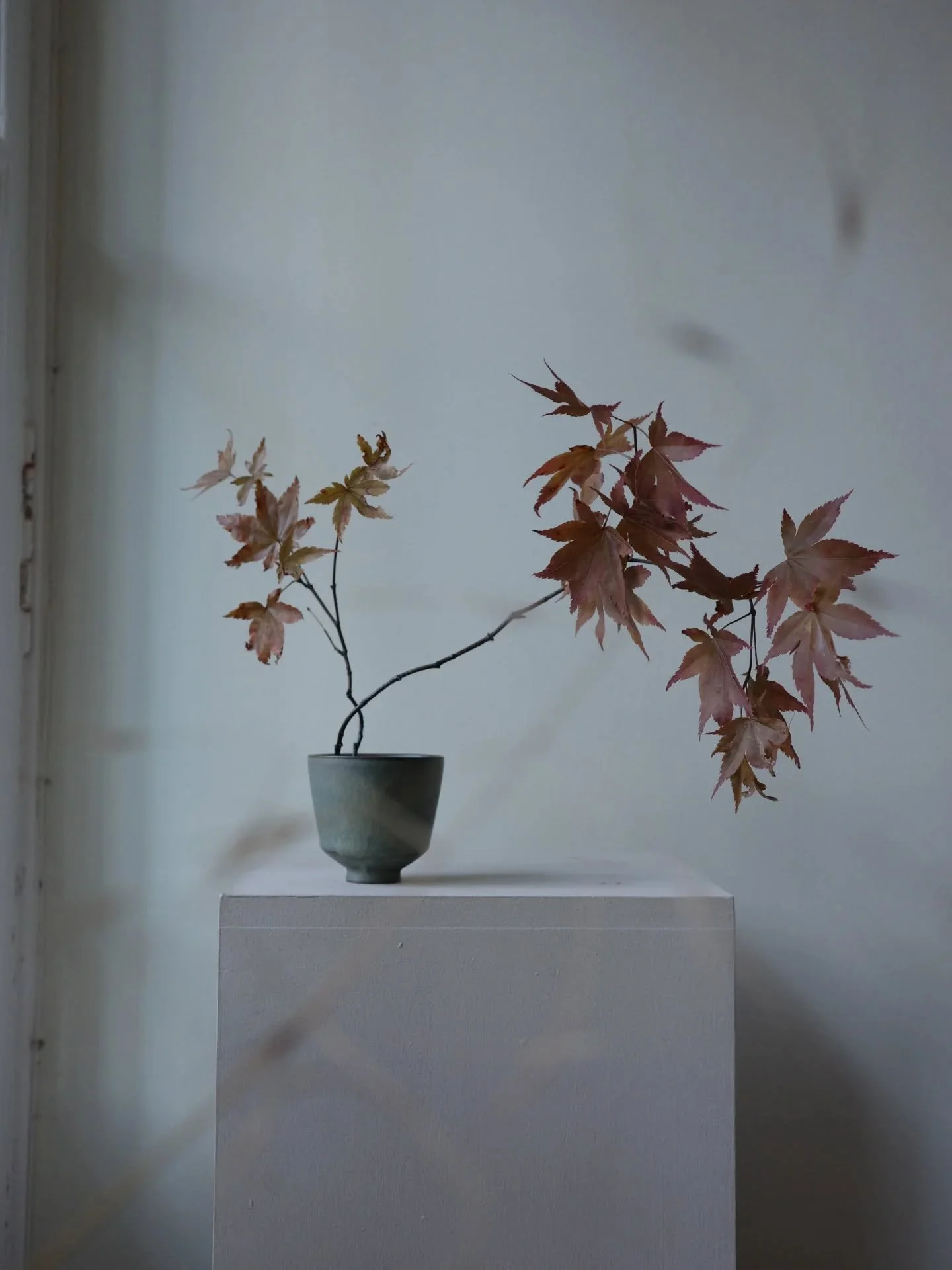 Weekend off. Who dis? 

A little pocket of time for calm reflection and family.

A very wise and inspirational human being once said that sometimes all you need is a beautiful branch and an equally beautiful vessel. In fact, she mentions just this in