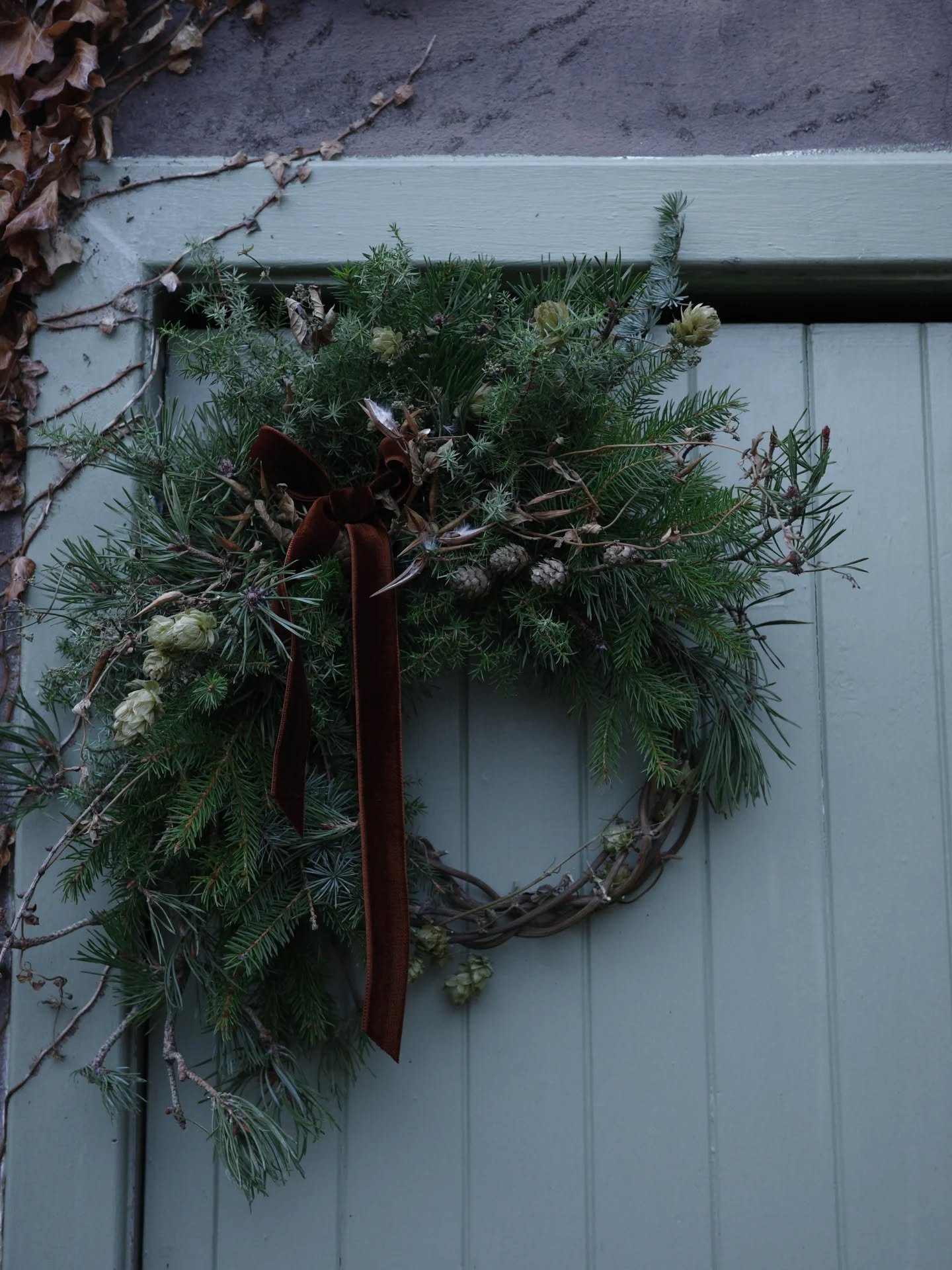 This one is headed down south today. Godspeed postal warrior.

#festivewreaths #wintermorninglight #sheddoor #wintertreasures #hopsbines #velvetyribbons