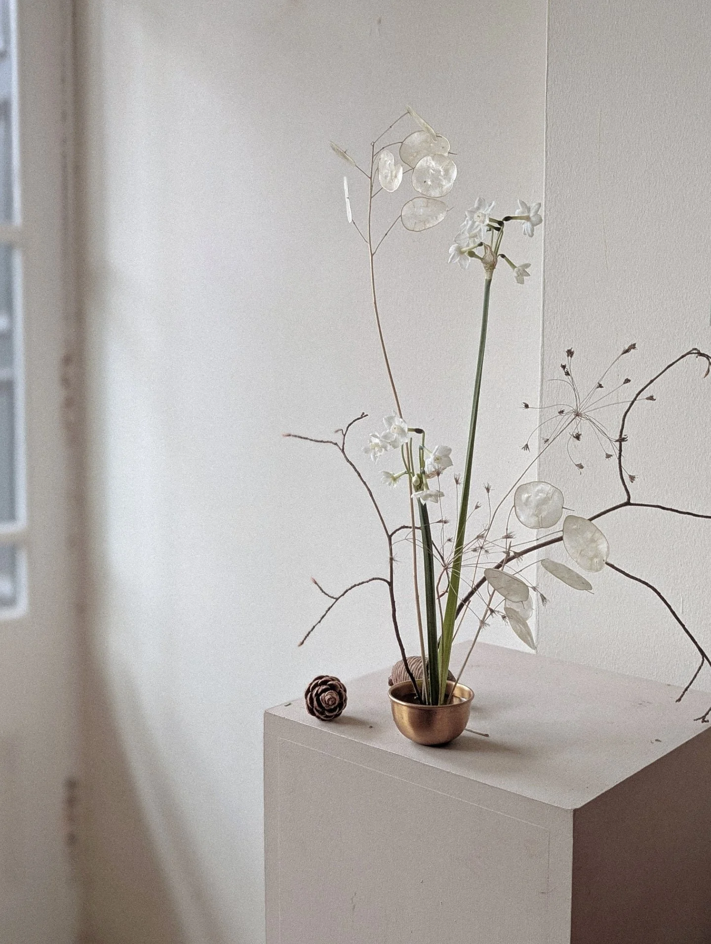 Should be getting things ready for the last wedding of the year. Am in fact getting distracted by wintery details. 

#wintertextures #winterlight #playingwithpetals #playingwithshadows #paperwhites #honesty