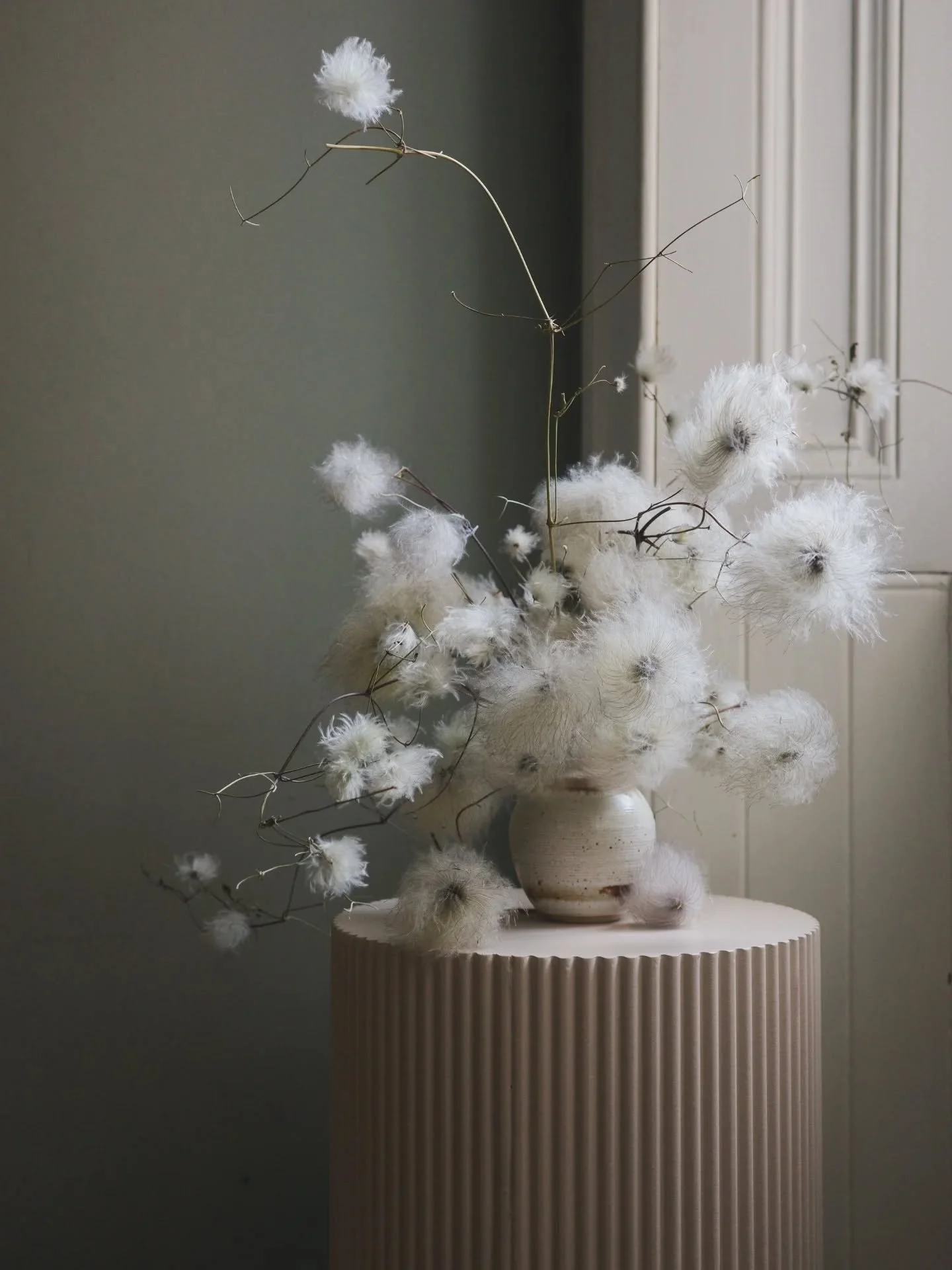 This morning was my first 'proper' day back at work, taking down the wintry window display at @edinburgh.mercantile_store for @ochrebotanicalstudios. Huge thank you as always to the lovely, lovely Roz for the coffee, the ladder-holding, the chat and 