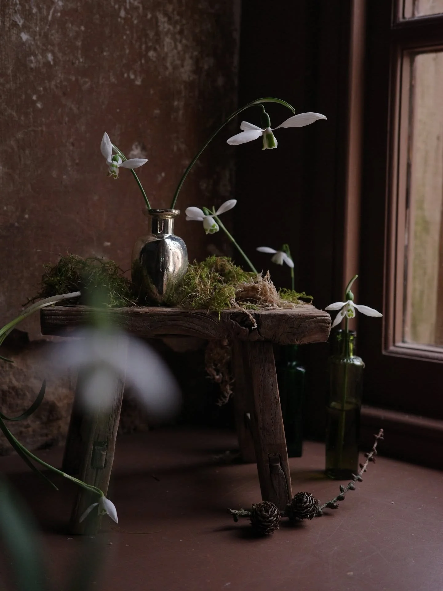 If I could, I'd spend the next few weeks mainly thinking about snowdrops. 

Photographs taken last year in a very special place @cambo_gardens on a very special day with some very, very special people @ochrebotanicalstudios @eva_nemeth @simplybyarran