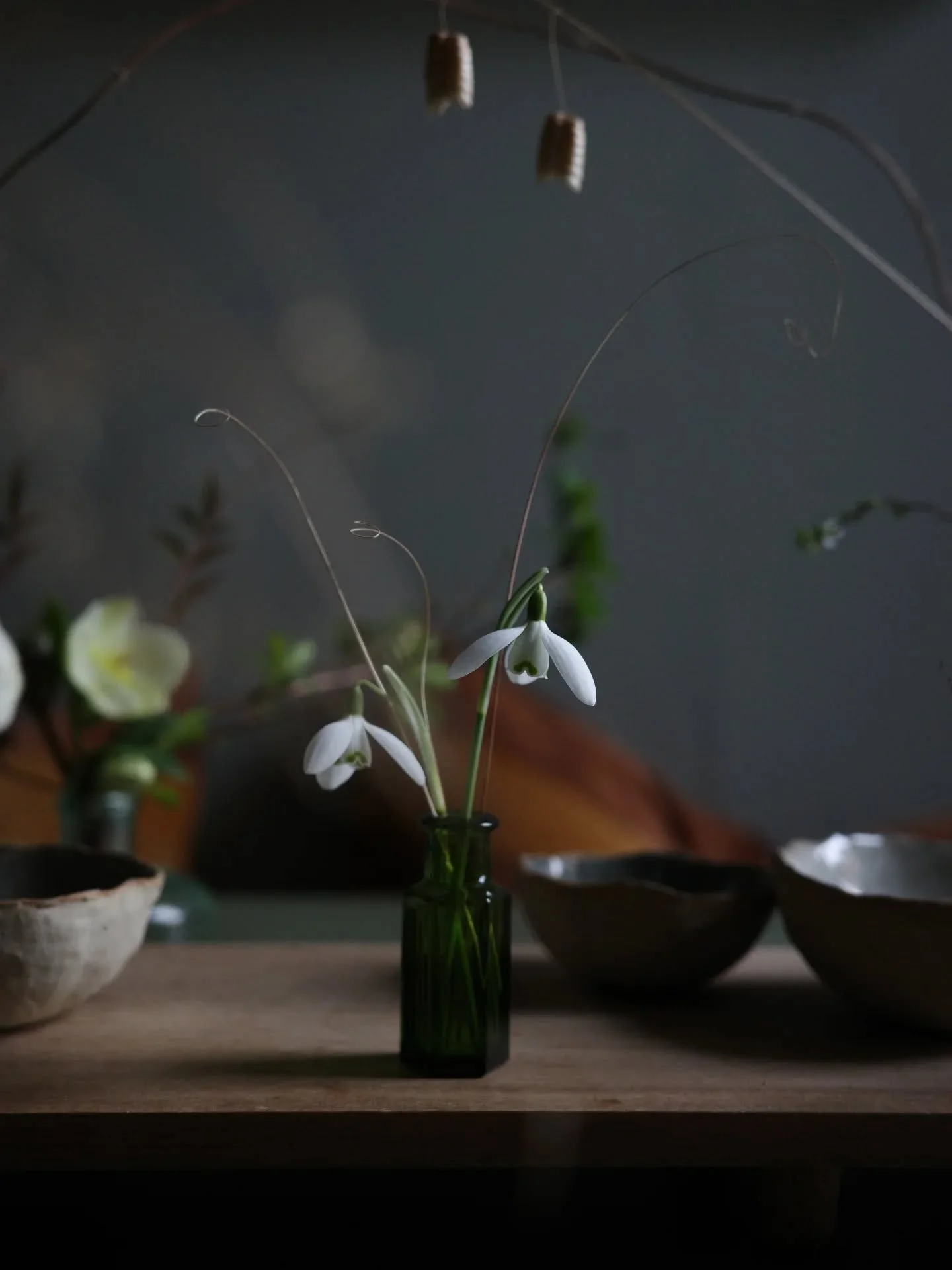 Some hellebores and honeysuckle vines from one friend, little bowls made by another and the first snowdrops from the garden. Simple things, kind things, gentle things. Farewell January.