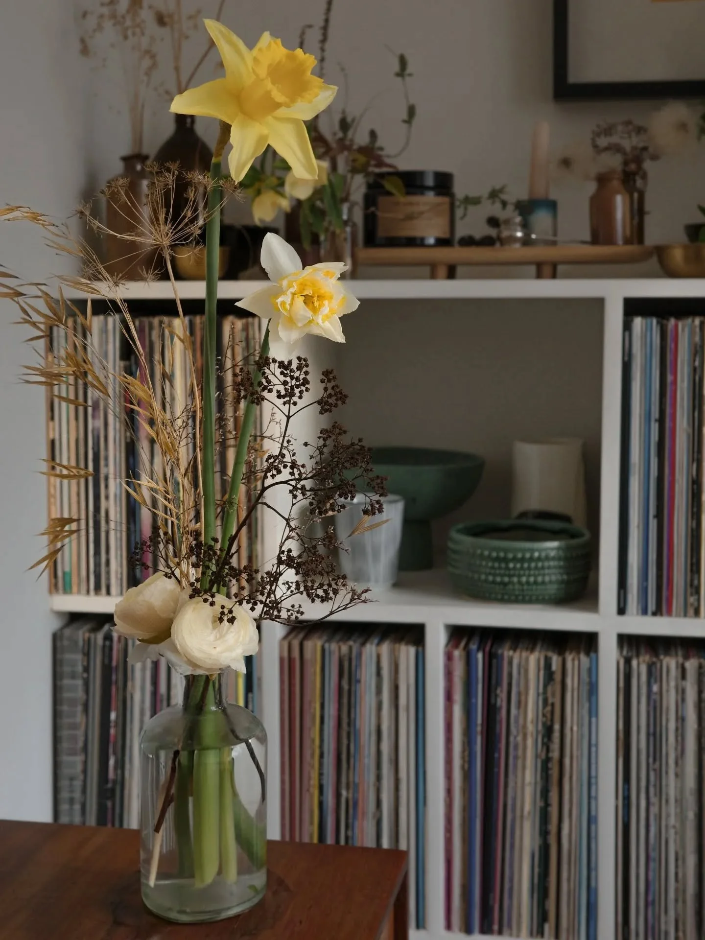 A little moment for the common allotment daff. The kind that arrives year on year from that same disheveled spot, always proud and loud with that little yellow trumpet blasting spring glee.

Earlier today I went to my daughter's school show, where I 