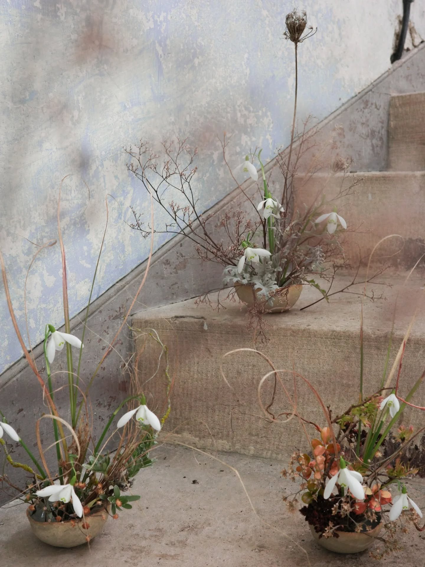 It's almost time to say farewell to the snowdrops. Which always comes with a touch of sadness but looking on that bright side, it does also hint that my wintry hibernation is coming to an end and the flower-filled joy of wedding season is about to be